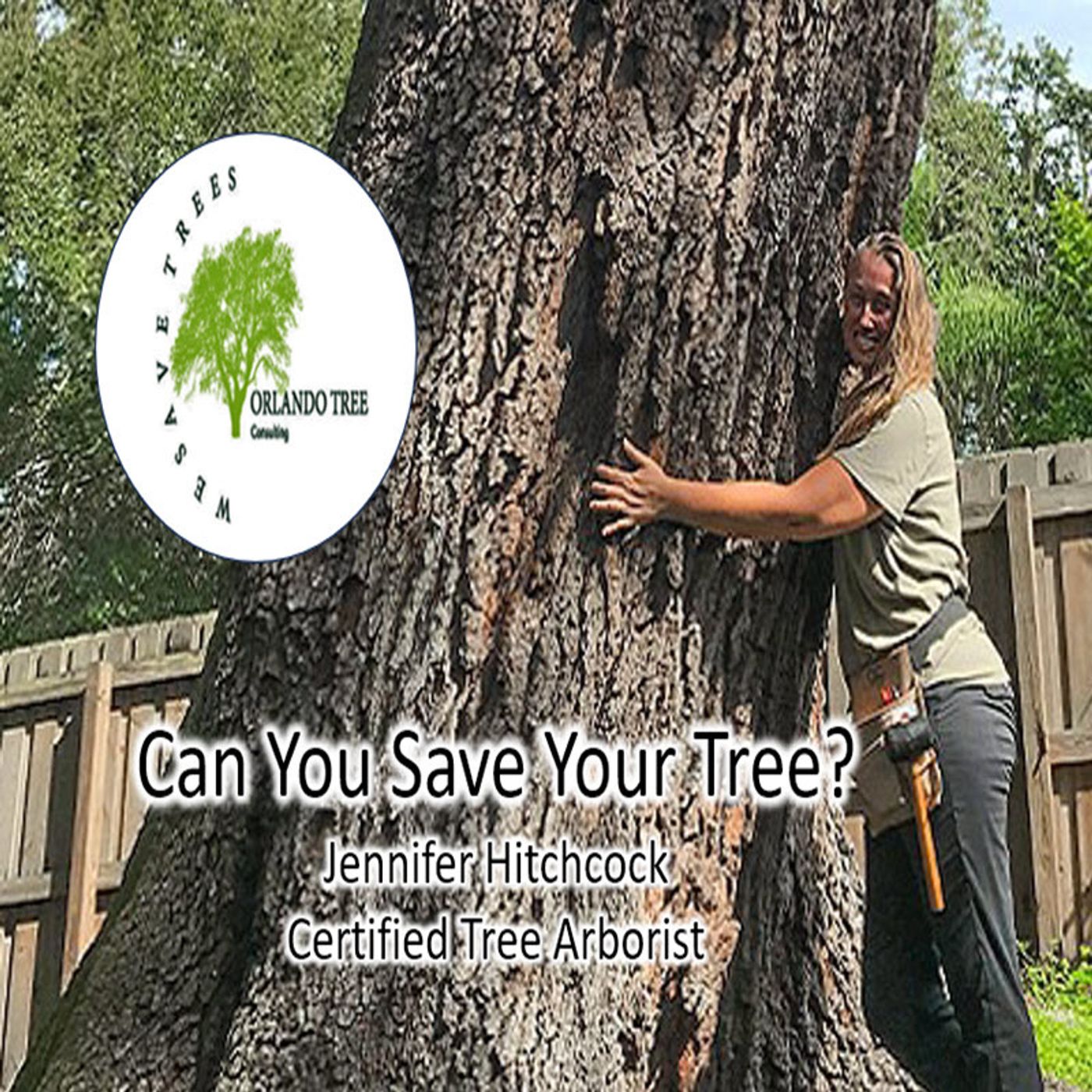 Better Lawns and Gardens - Hour 2 Jennifer Hitchcock Can You Save Your Tree? August 12, 2023