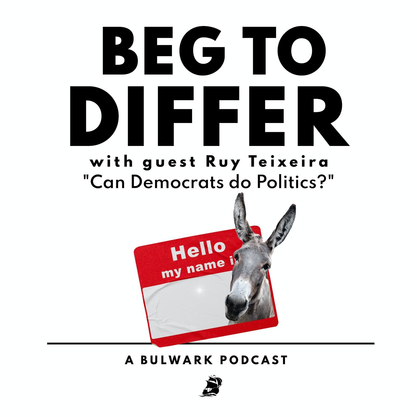 Can Democrats do Politics? (with Ruy Teixeira)