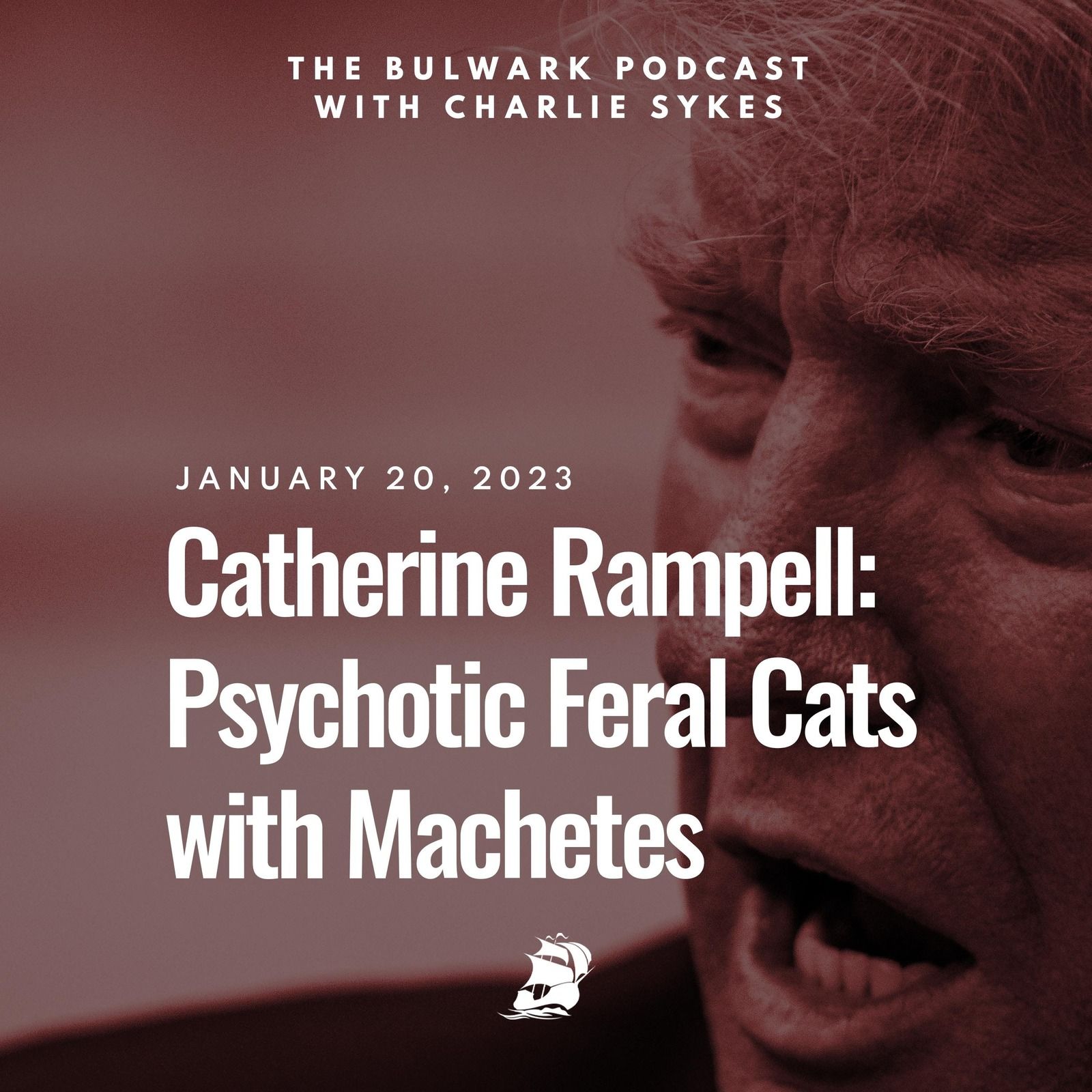 Catherine Rampell: Psychotic Feral Cats with Machetes