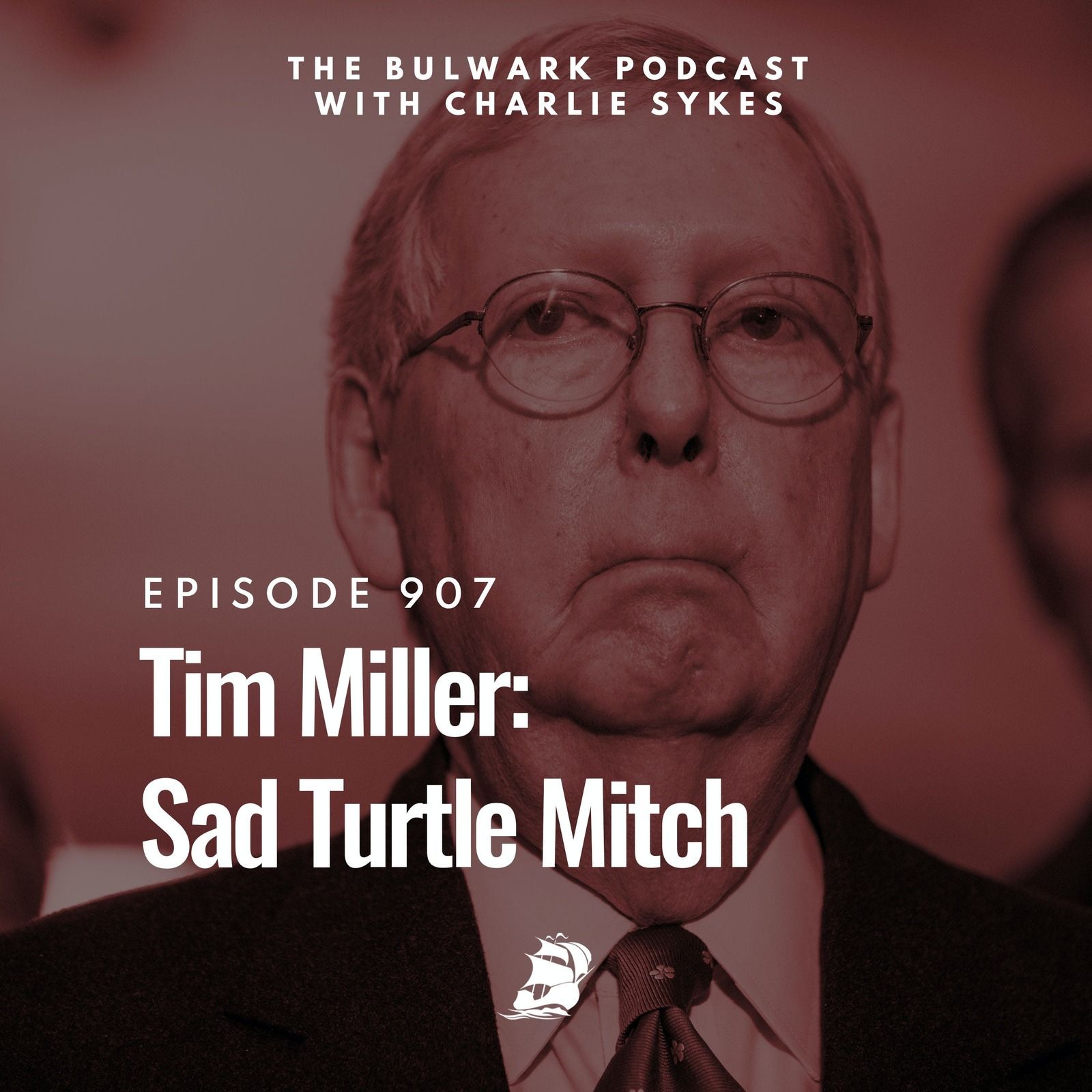 Tim Miller: Sad Turtle Mitch