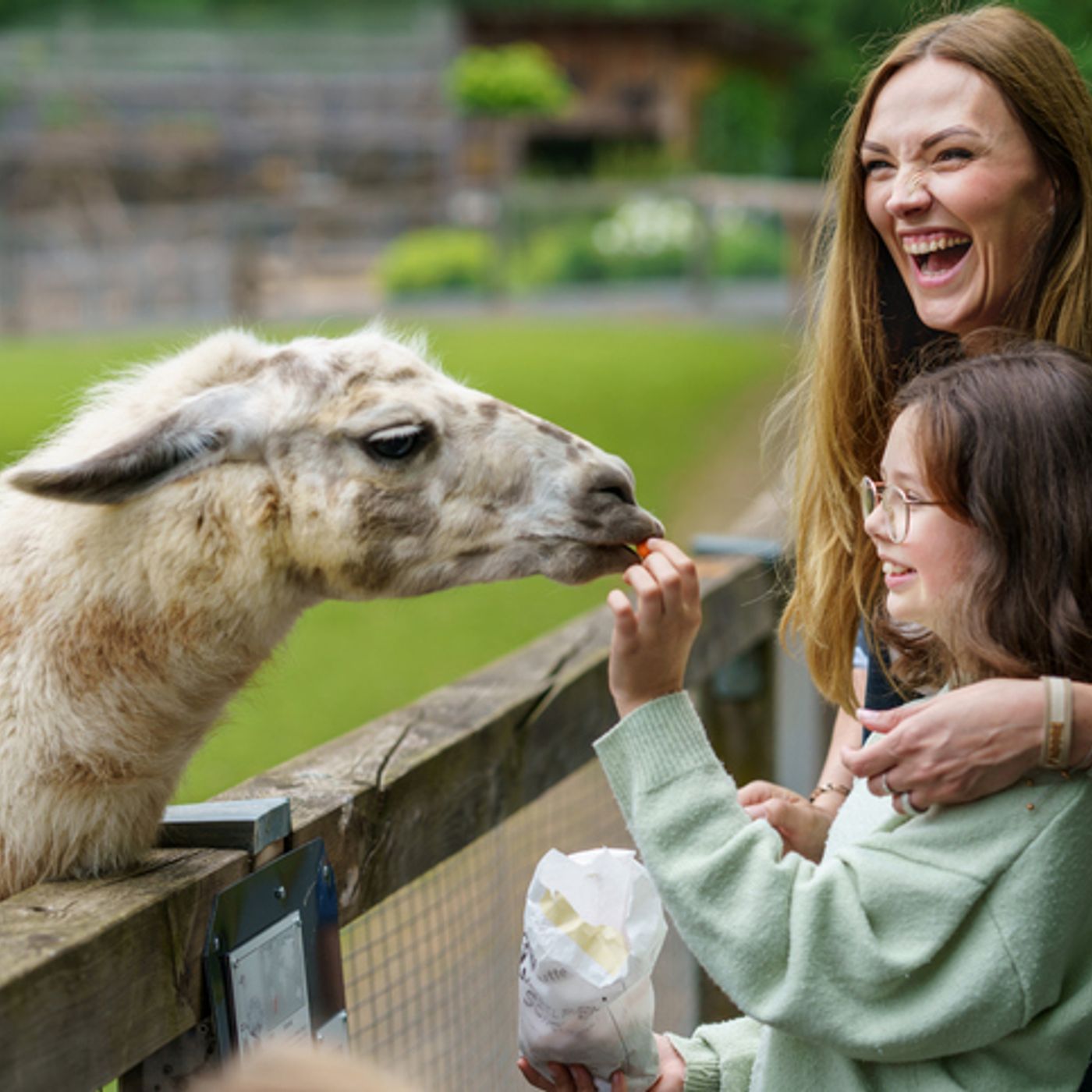 THE FEED: Wildlife Day, Live Music, and Fun on the Farm episode artwork