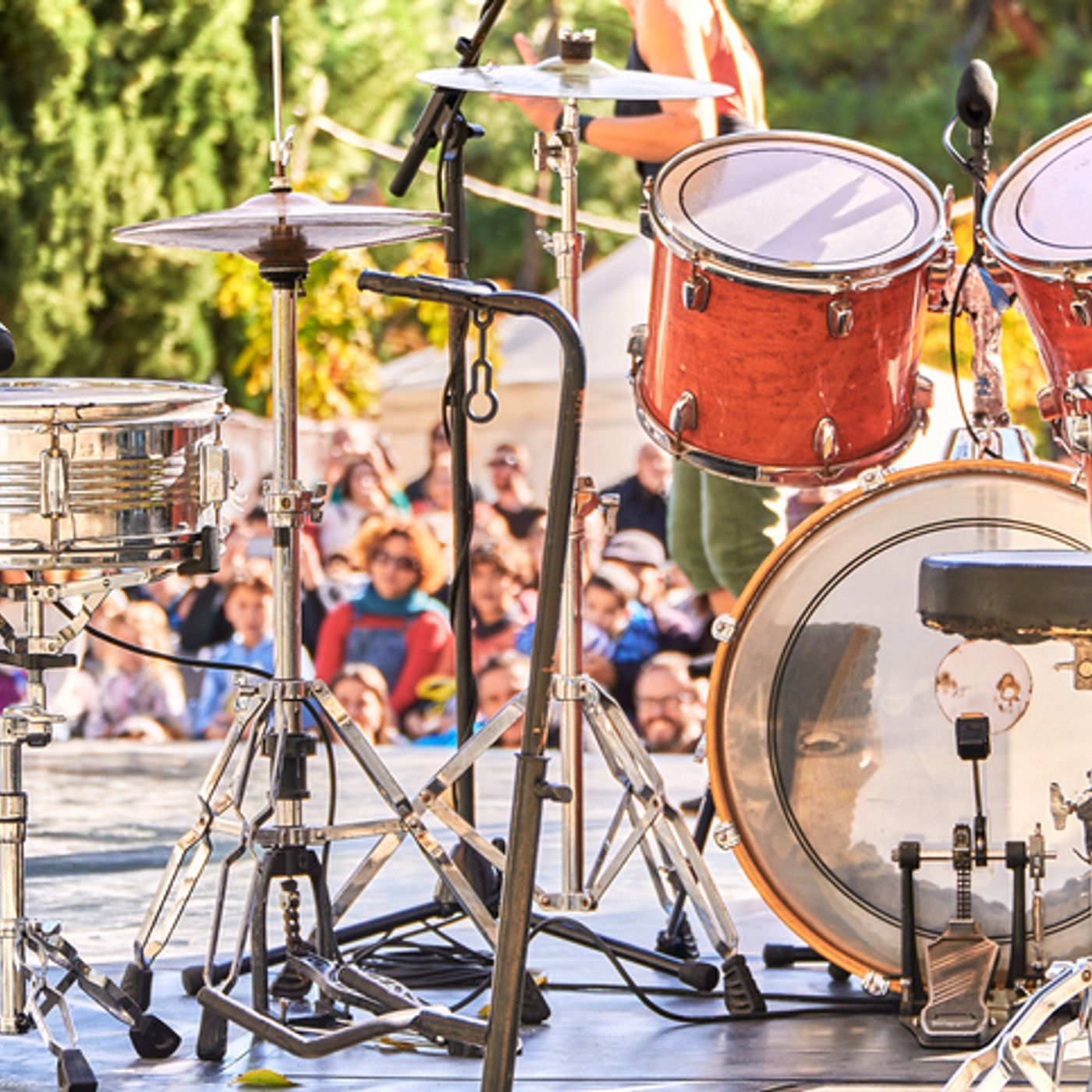 THE FEED: Oyster Festival, Live Music in Our Own Backyards, & Honey Harvests! episode artwork