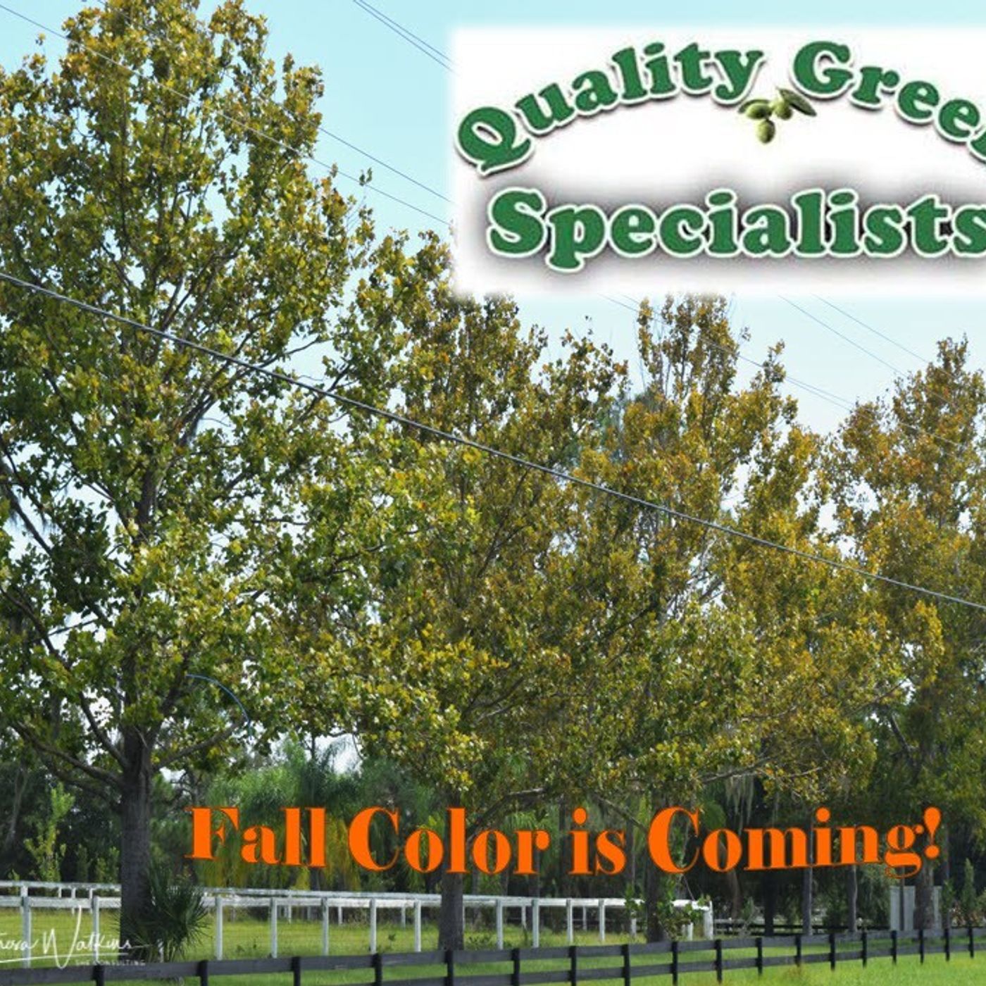 Better Lawns and Gardens - Hour 1 Fall Color is Coming! September 16, 2023