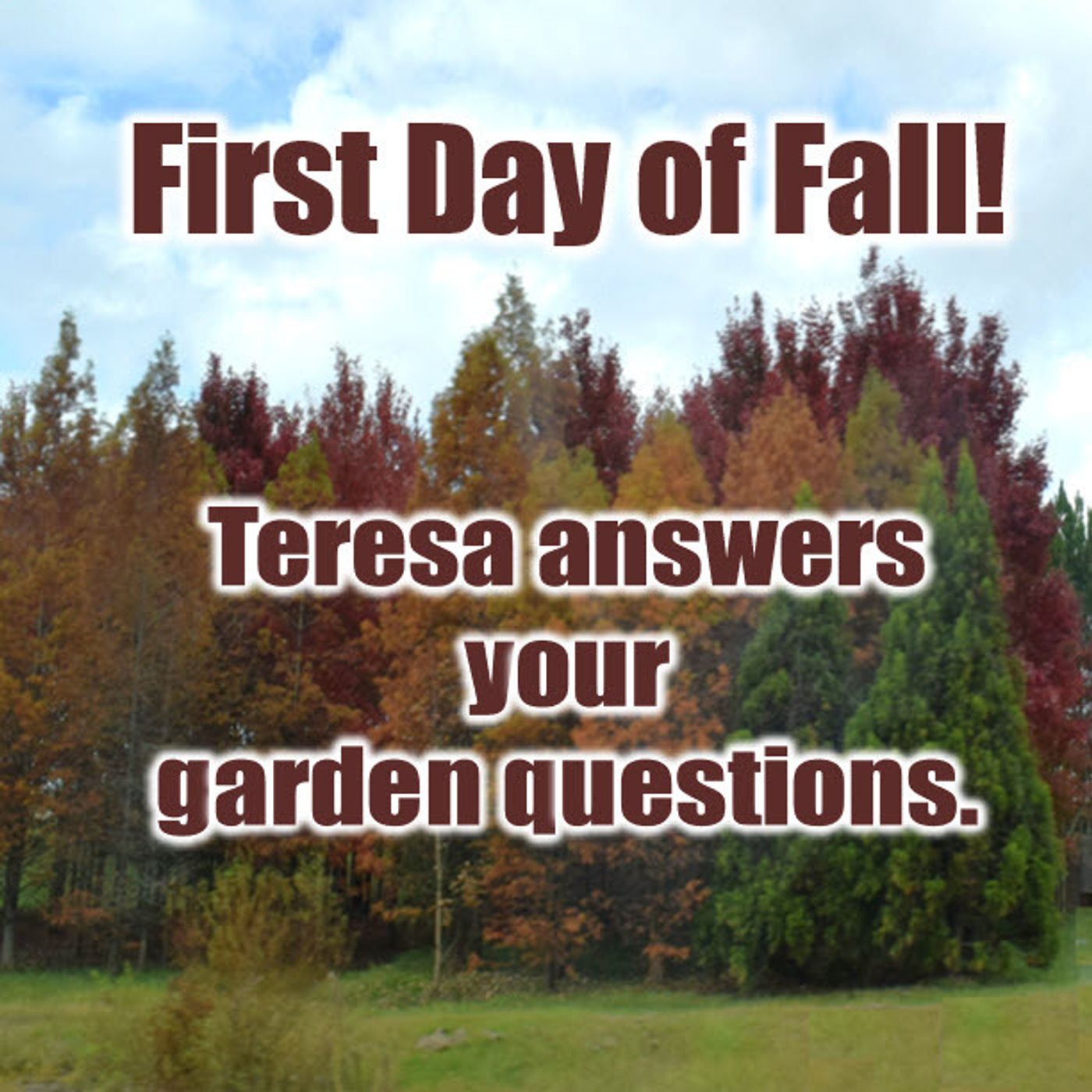 Better Lawns and Gardens - Hour 1 Answering Garden Questions September 23, 2023