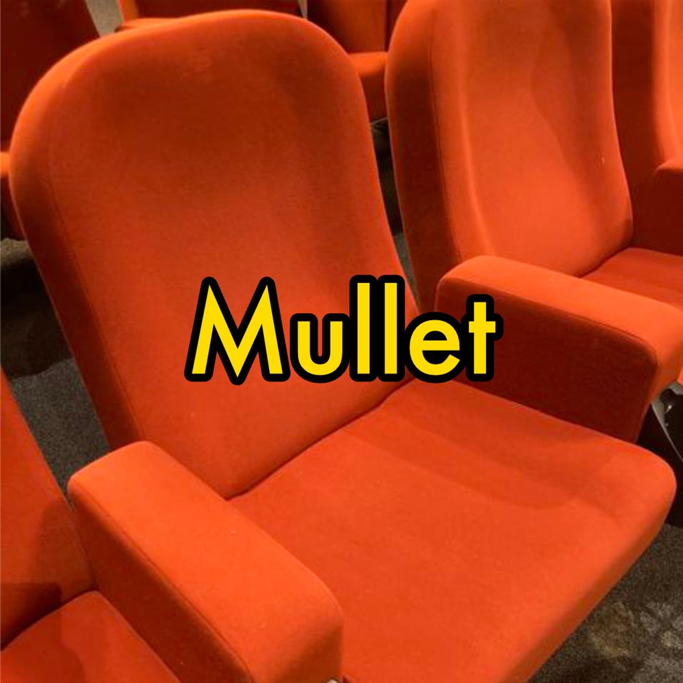 19: 19. Mullet