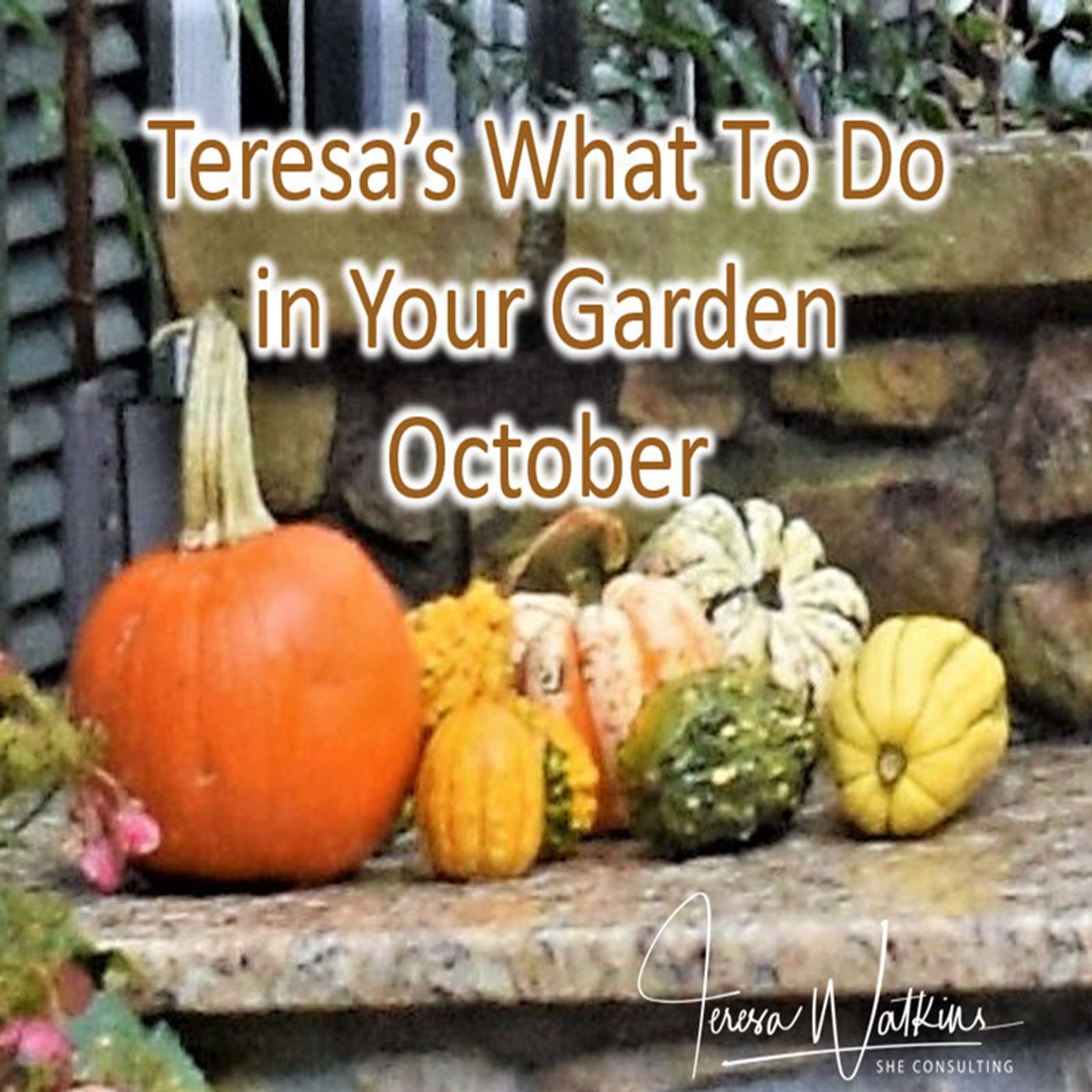 Better Lawns and Gardens - Hour 1 What to do in October in Your Landscape September 30, 2023