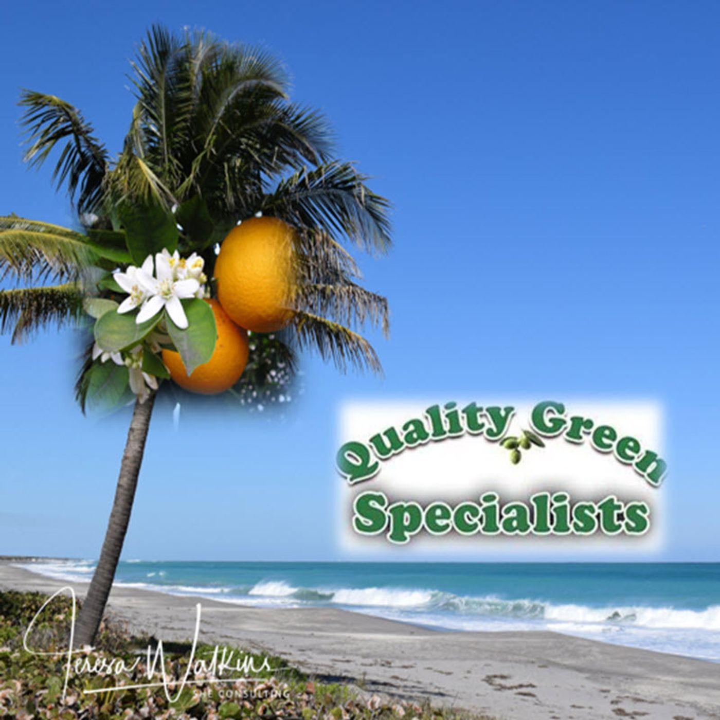 Better Lawns and Gardens - Hour 1 Acclimating Fruit Trees For Florida Winter with Dana Venrick October 7, 2023