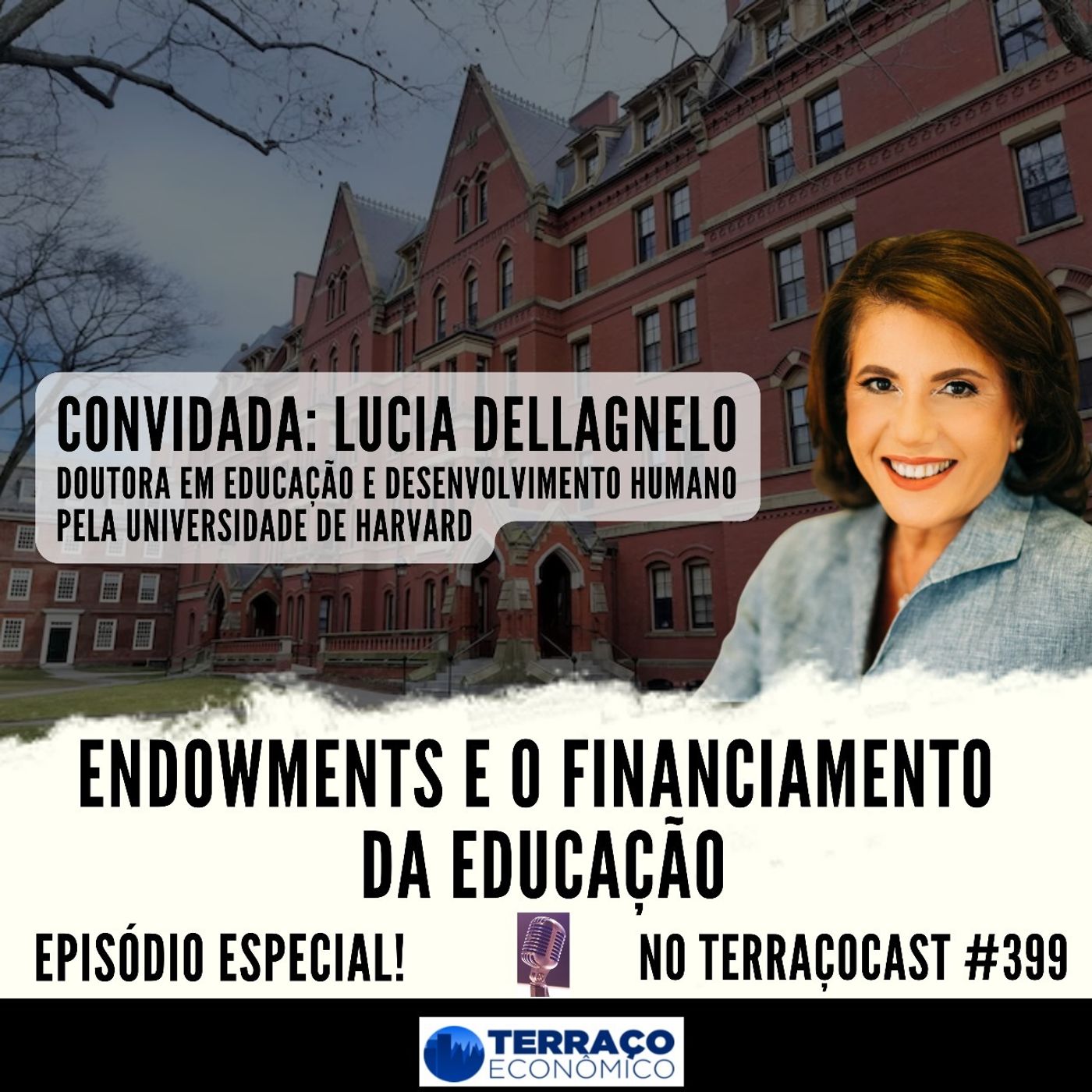 ENDOWMENTS E O FINANCIAMENTO DA EDUCAÇÃO no TerraçoCast #399 episode artwork