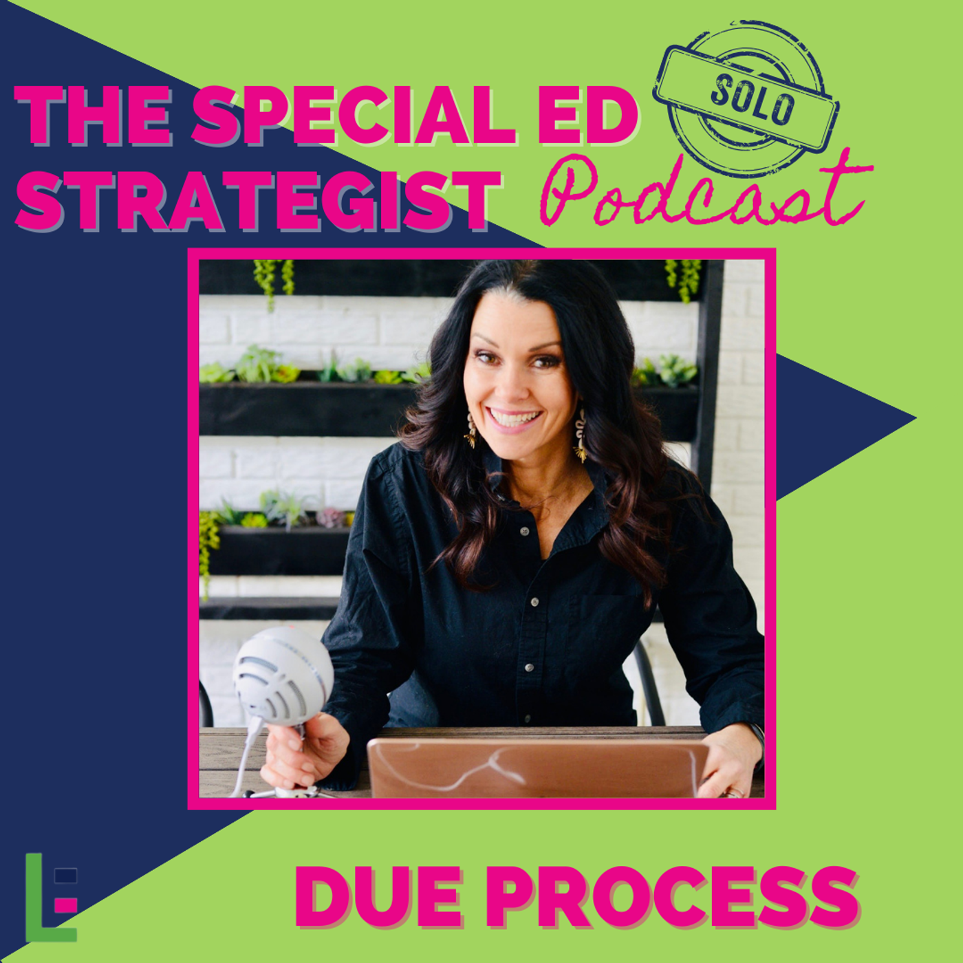 Special Education Strategist: Expert Advice for IEPs, 504 Plans, Dyslexia, Parent Advocacy, Learning Disabilities, Executive Function, Dysgraphia, ADHD, Autism, Neurodivergent