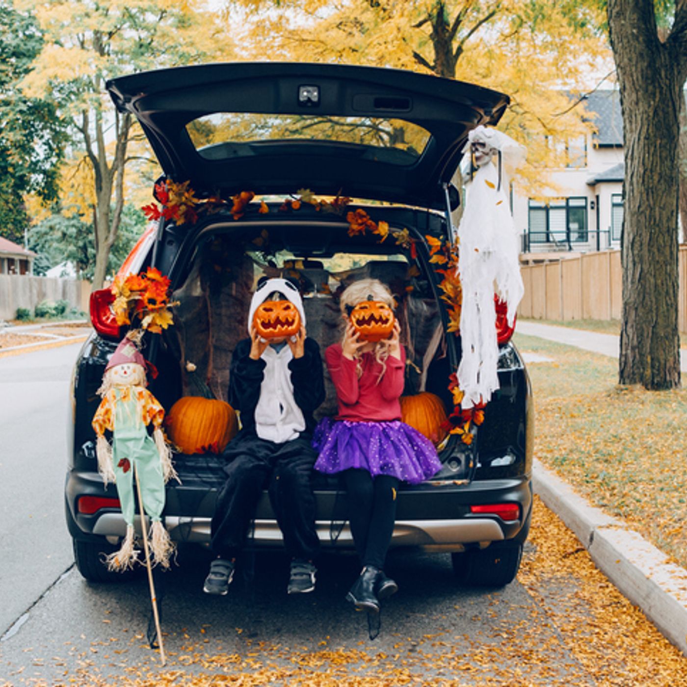 THE FEED: Trunk or Treat, Beasties and Besties, and Harvest Festivals! episode artwork