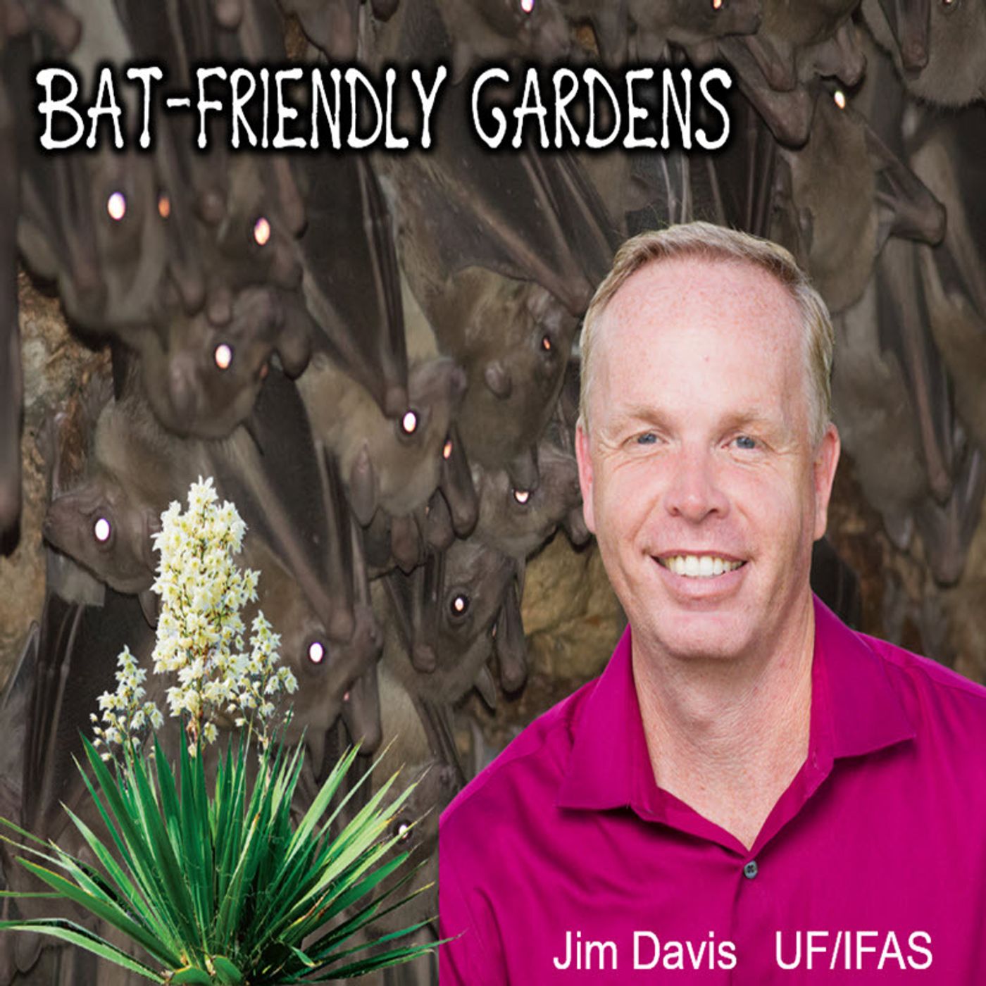 Better Lawns and Gardens - Hour 1 Bat-Friendly Gardens Jim Davis October 28, 2023