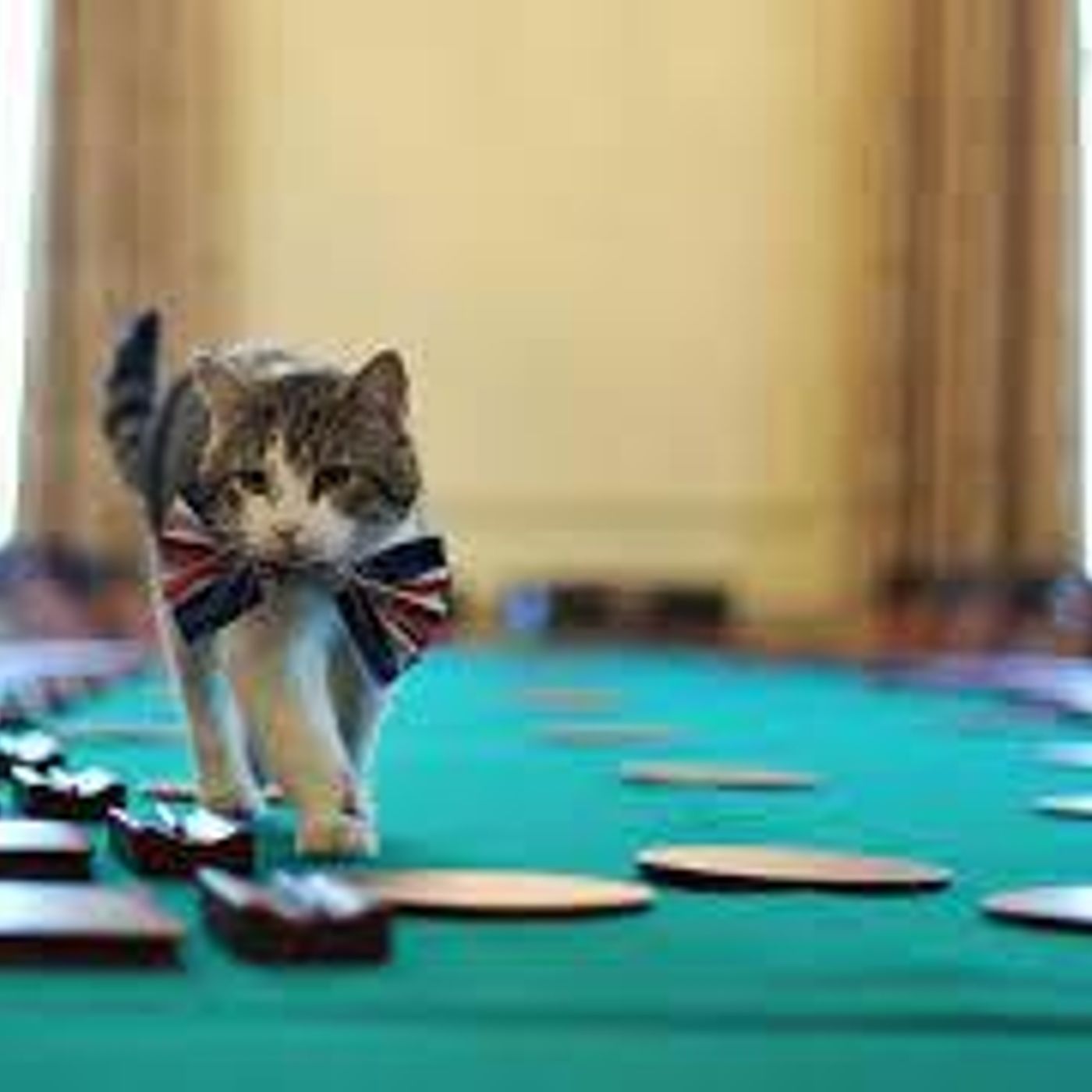 Chiminea News Review -Cooper, Grimston and Stevens