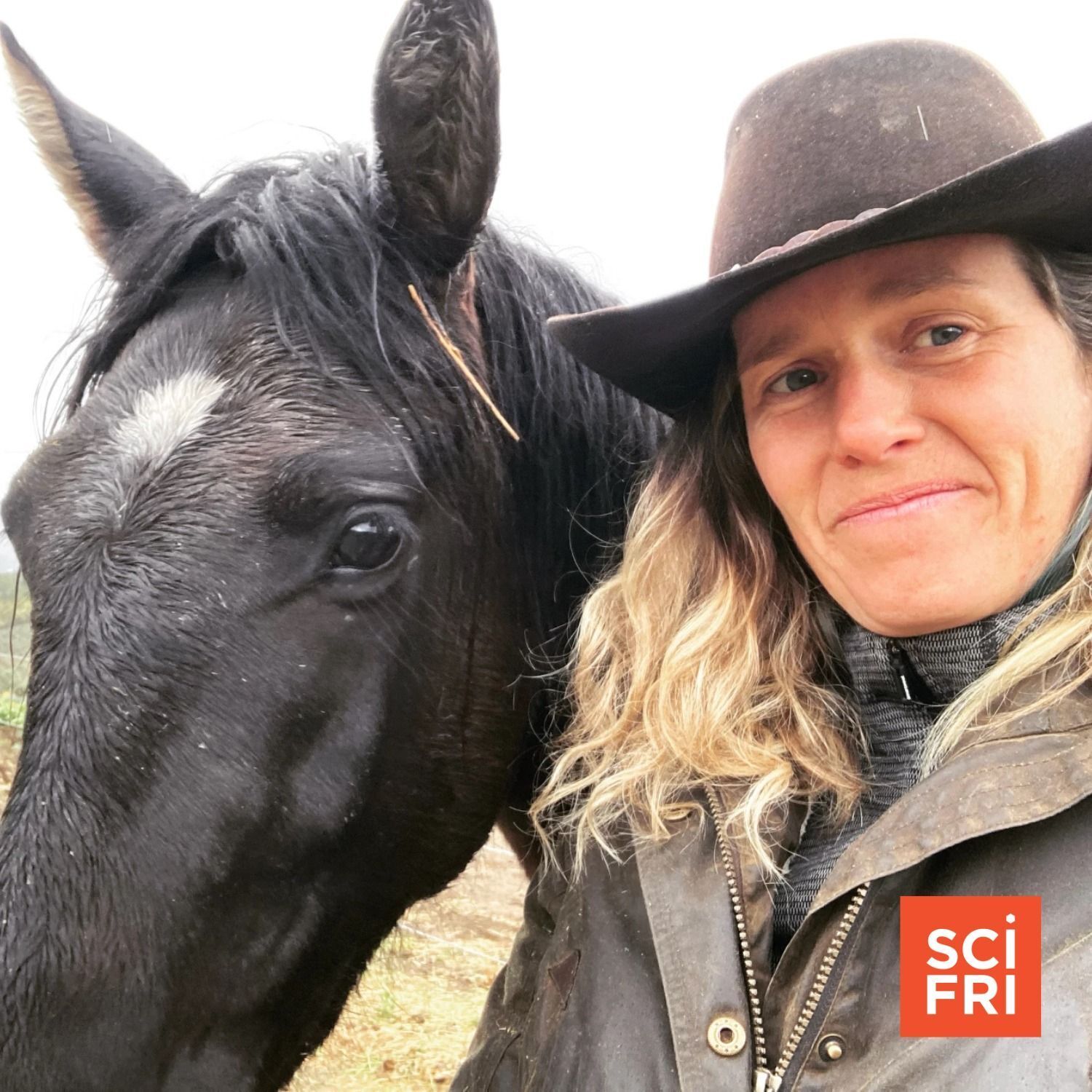 653: The West’s Wild Horses | Artist Explores History Of Humans Genetically Modifying Pigs