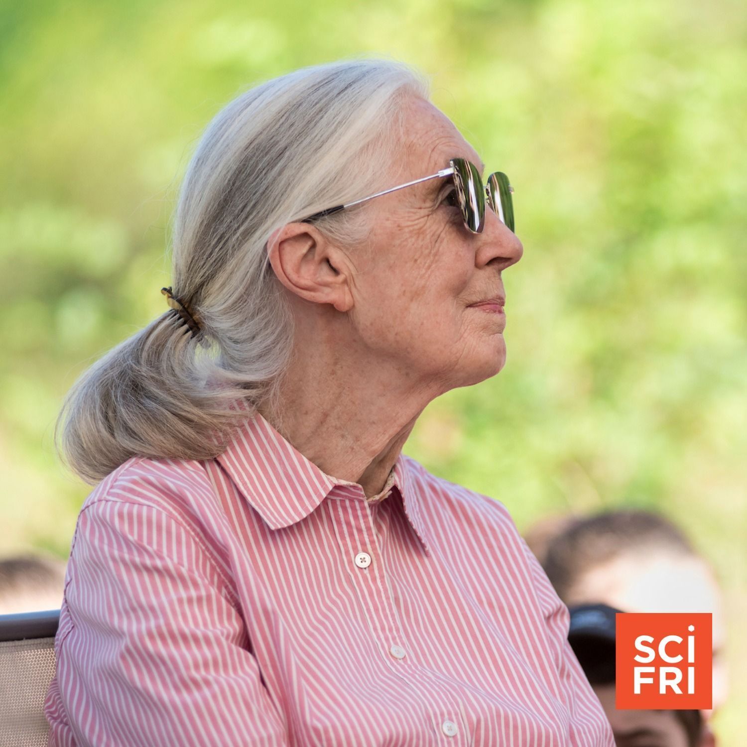 655: Jane Goodall On Life Among Chimpanzees