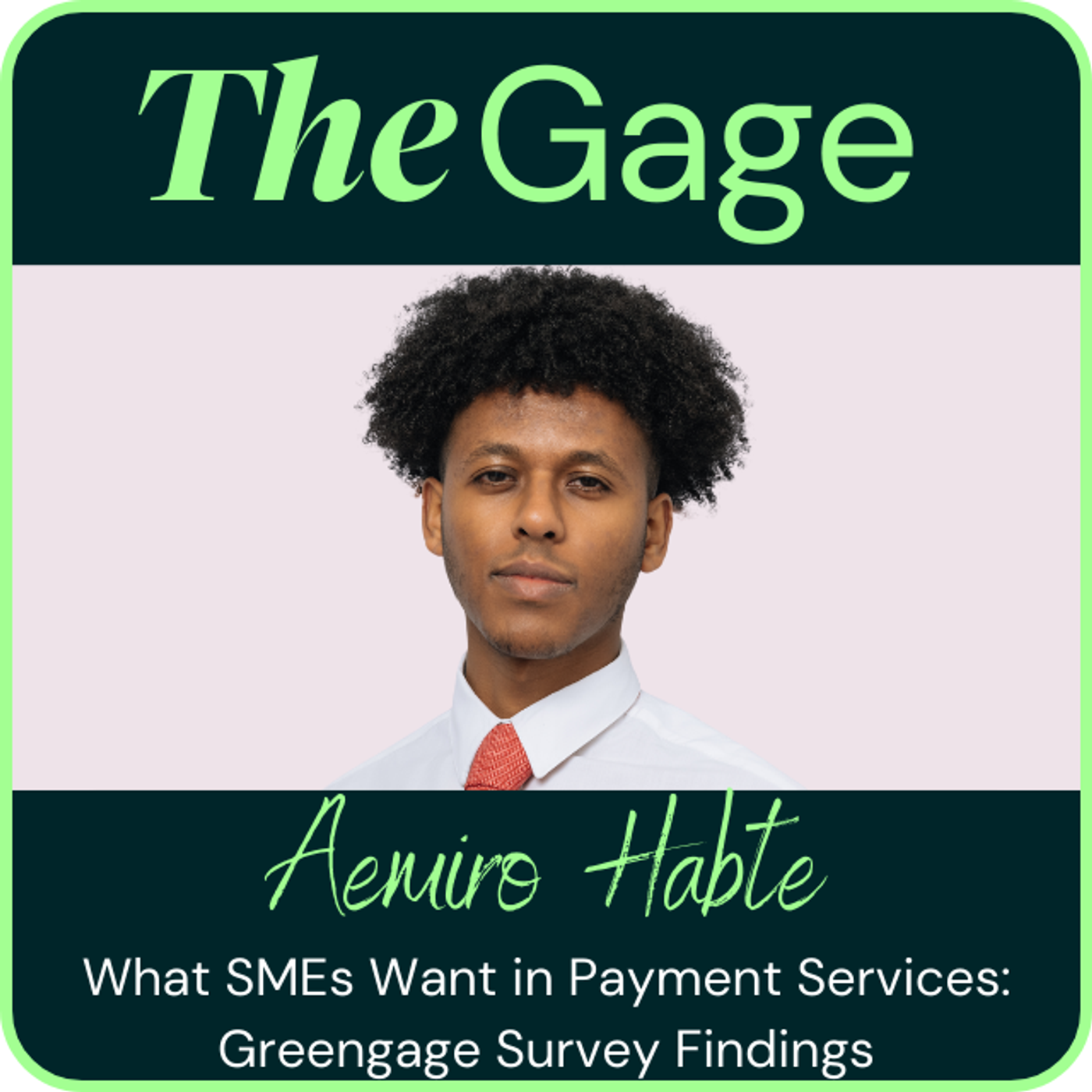 Episode 8 - What SMEs Want in Payment Services Greengage Survey Findings episode artwork