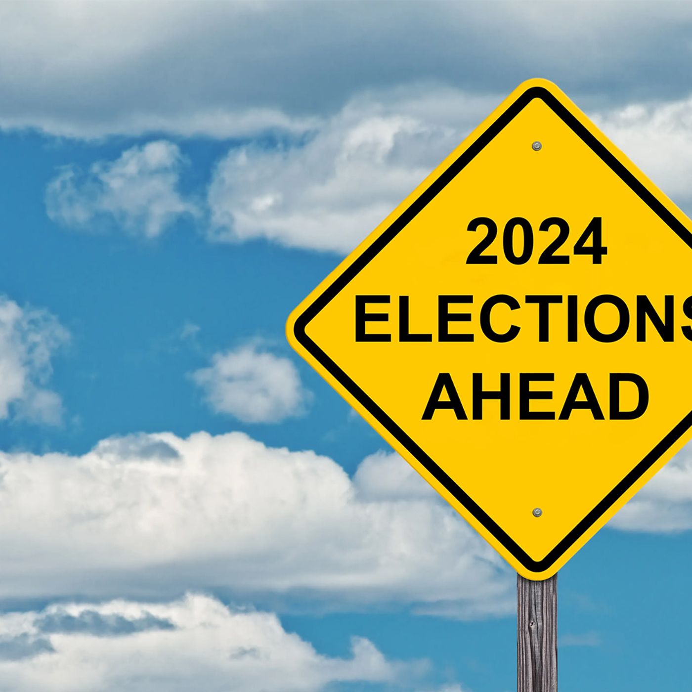 2024: The Biggest Election Year in History