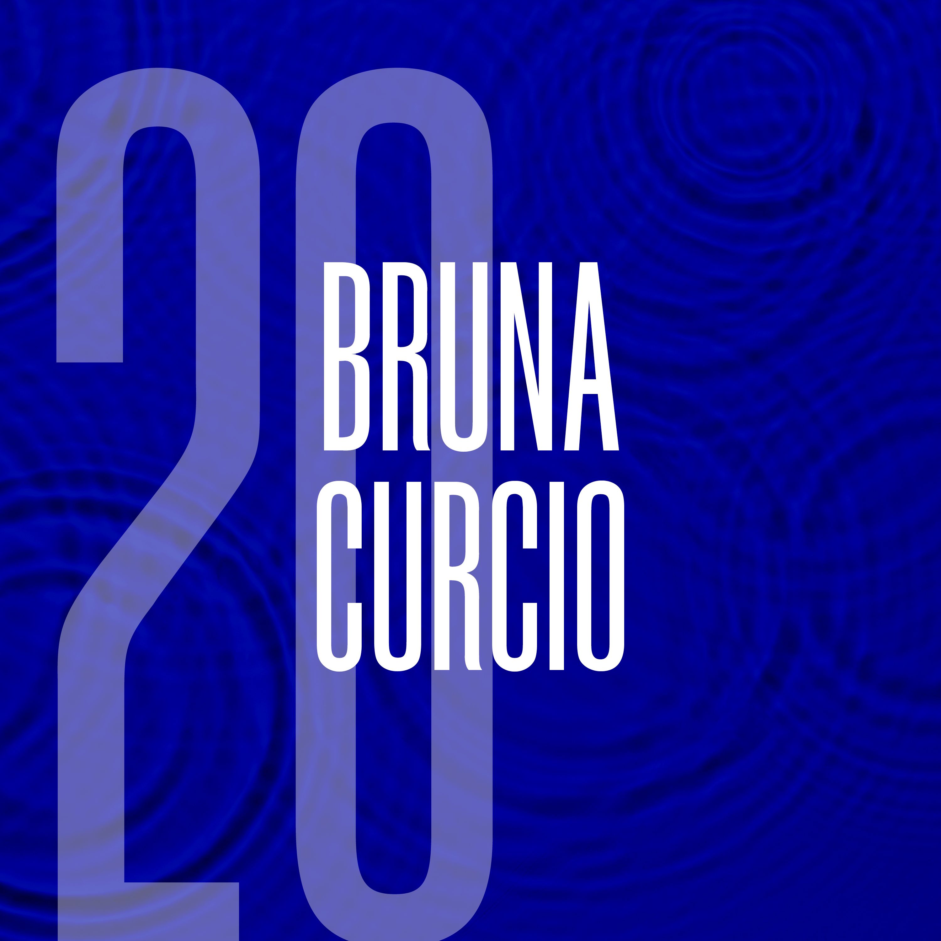 20: Bruna Curcio: Venezuelan Migration Crisis in Brazil