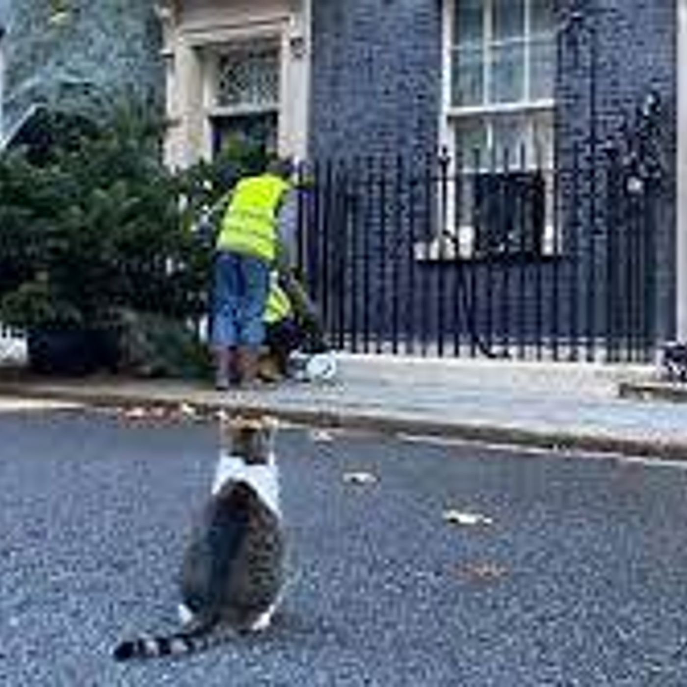 Chiminea News Review -Cooper, Grimston and Stevens