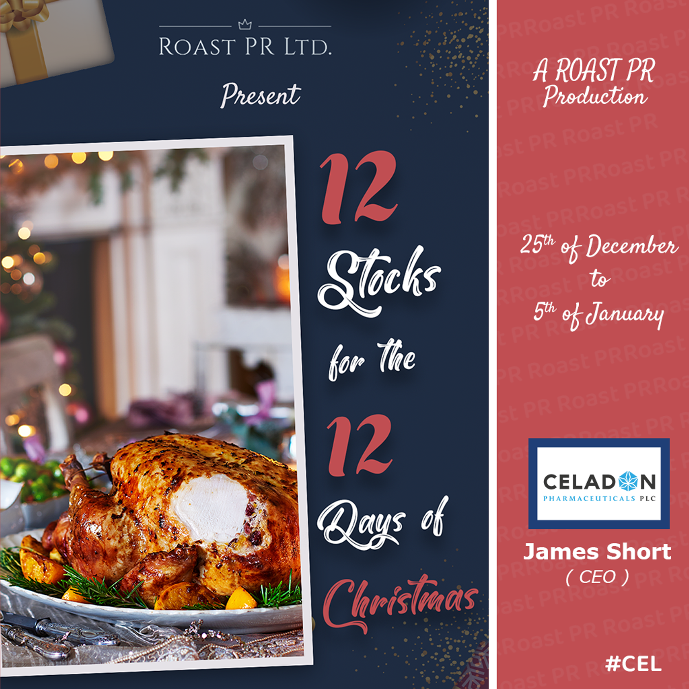 S6 Ep46: 12 Stocks for the 12 Days of Christmas featuring James Short, CEO of Celadon Pharmaceuticals (AIM:CEL) #CEL episode artwork