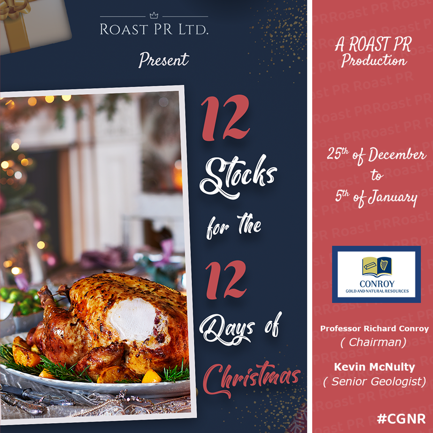 S6 Ep40: 12 Stocks for the 12 Days of Christmas featuring Professor Richard Conroy, Chairman and Kevin McNulty, Senior Geologist of Conroy Gold (AIM:CGNR) #CGNR episode artwork