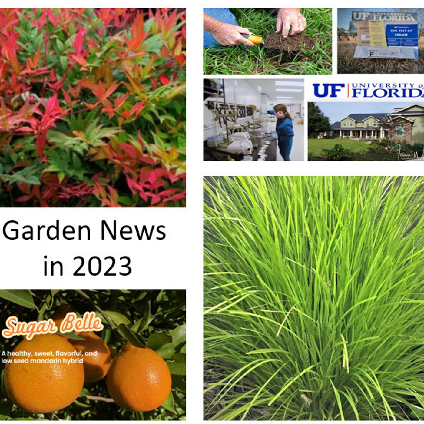 S2 Ep262: Better Lawns and Gardens -Hour 1 Gardening Advances in 2023 December 30, 2023