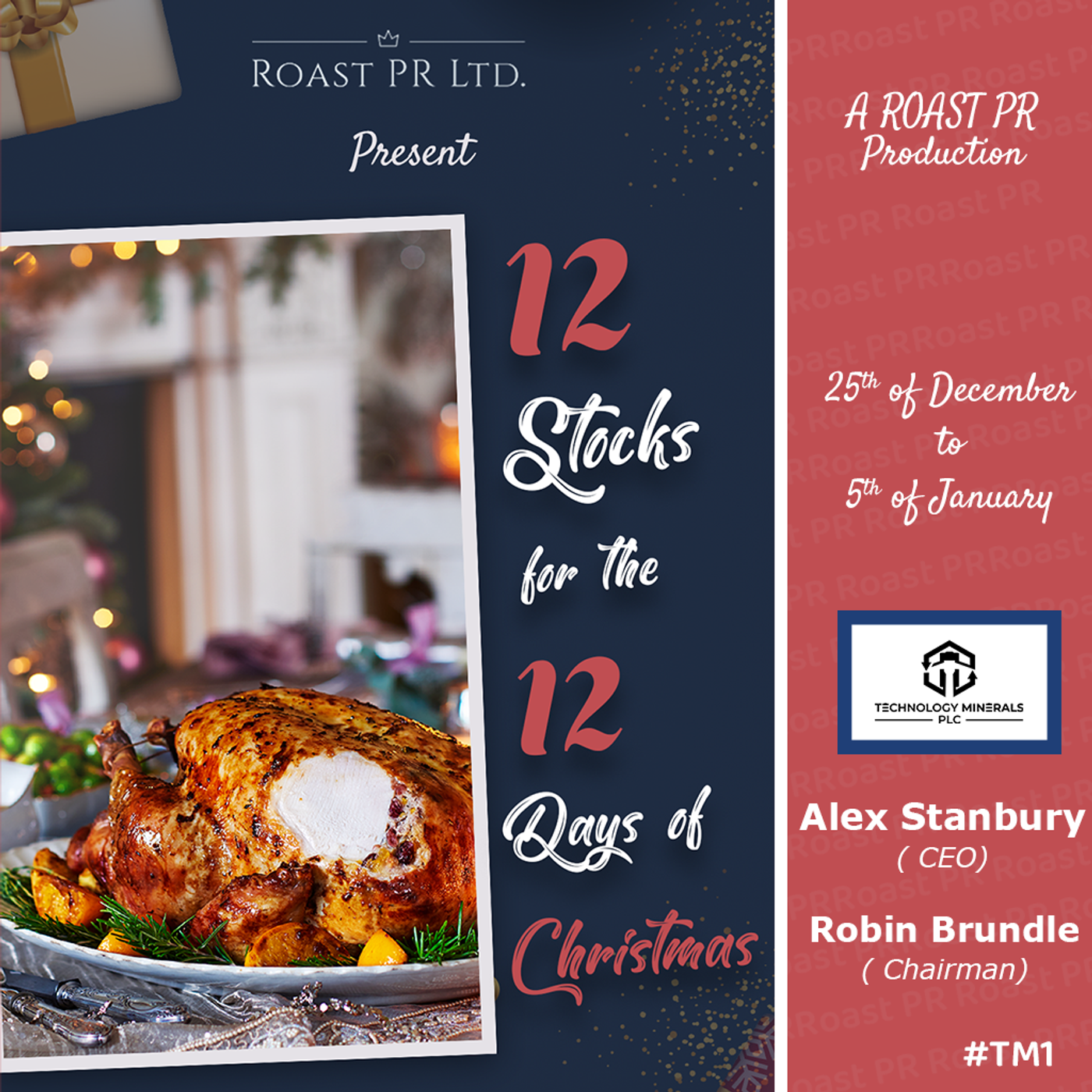 S6 Ep45: 12 Stocks for the 12 Days of Christmas featuring Alex Stanbury, CEO and Robin Brundle, Chairman of Technology Minerals (LSE:TM1) #TM1 episode artwork