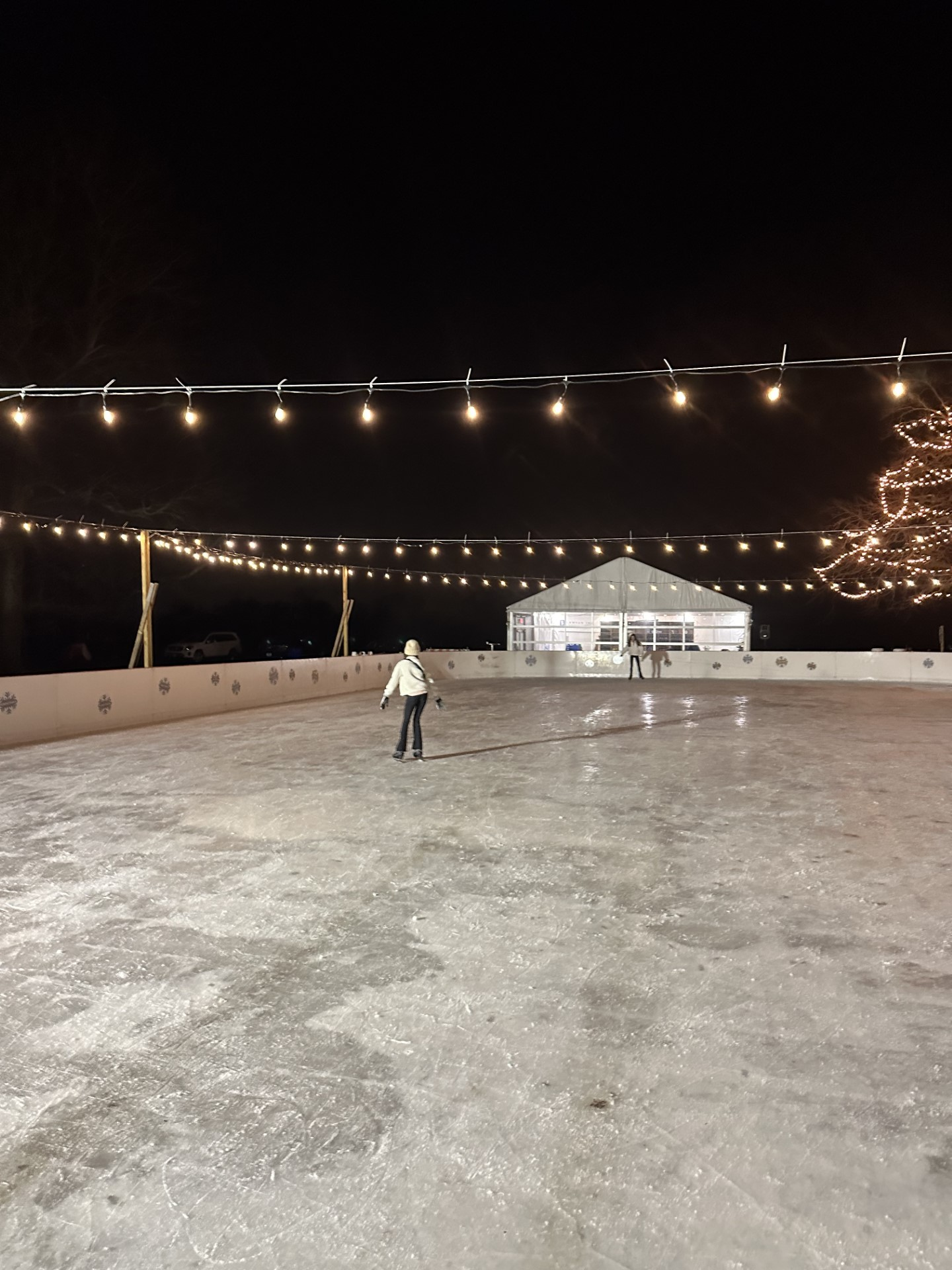 THE FEED: Roller Magic in Waterbury and Ski Bunnies in Norwalk episode artwork