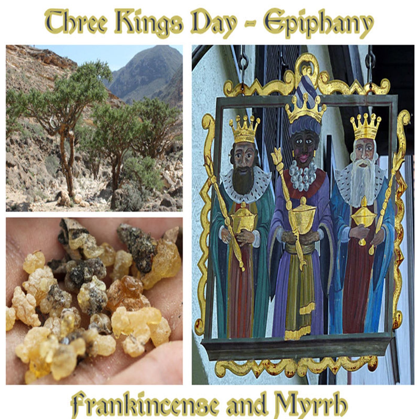 Better Lawns and Gardens - Hour 2 Dr. Doug Daly Frankincense and Myrrh January 6, 2024