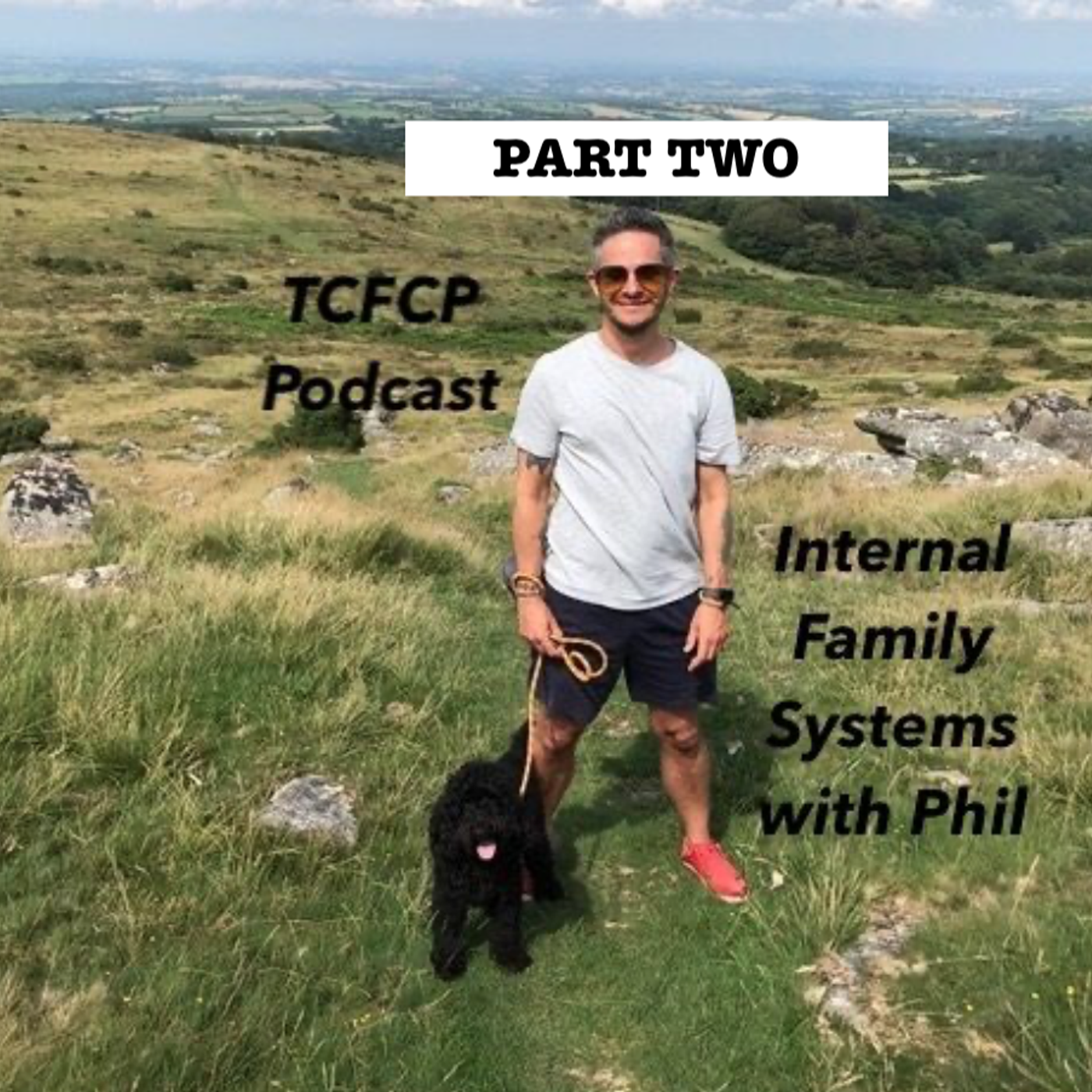 S3 Ep72: Internal Family Systems with Phil PART TWO