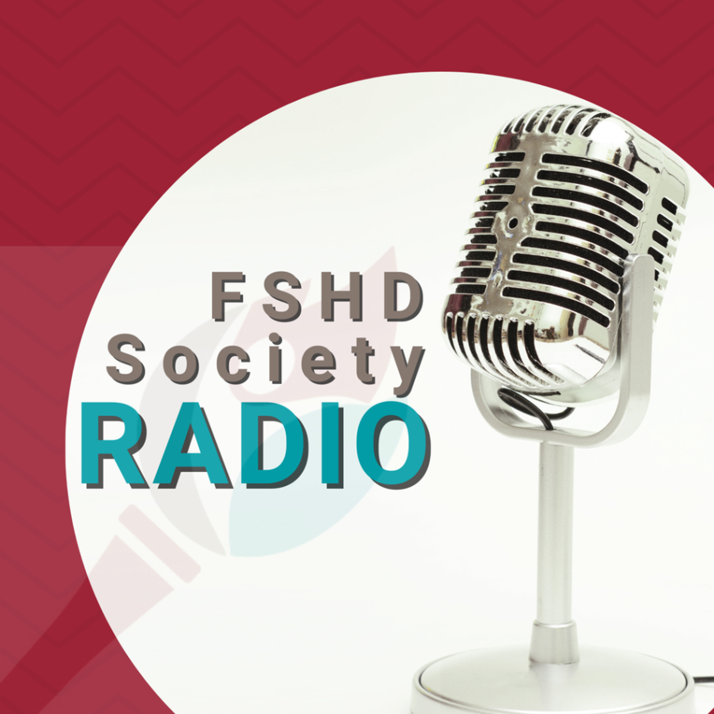 FSHD Straight Talk with Tim Hollenback