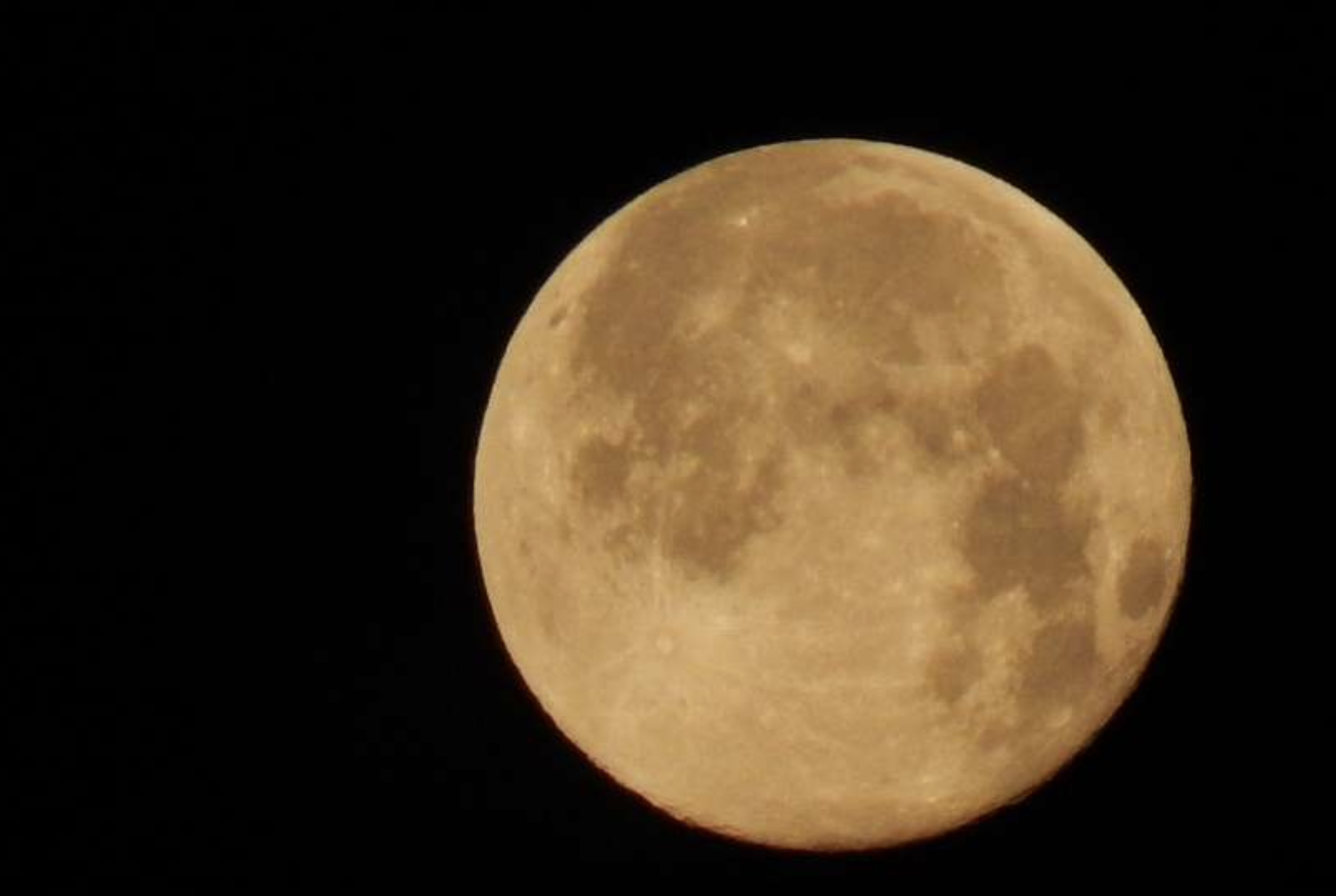 The John Batchelor Show / TONIGHT The show begins in Disneyland to