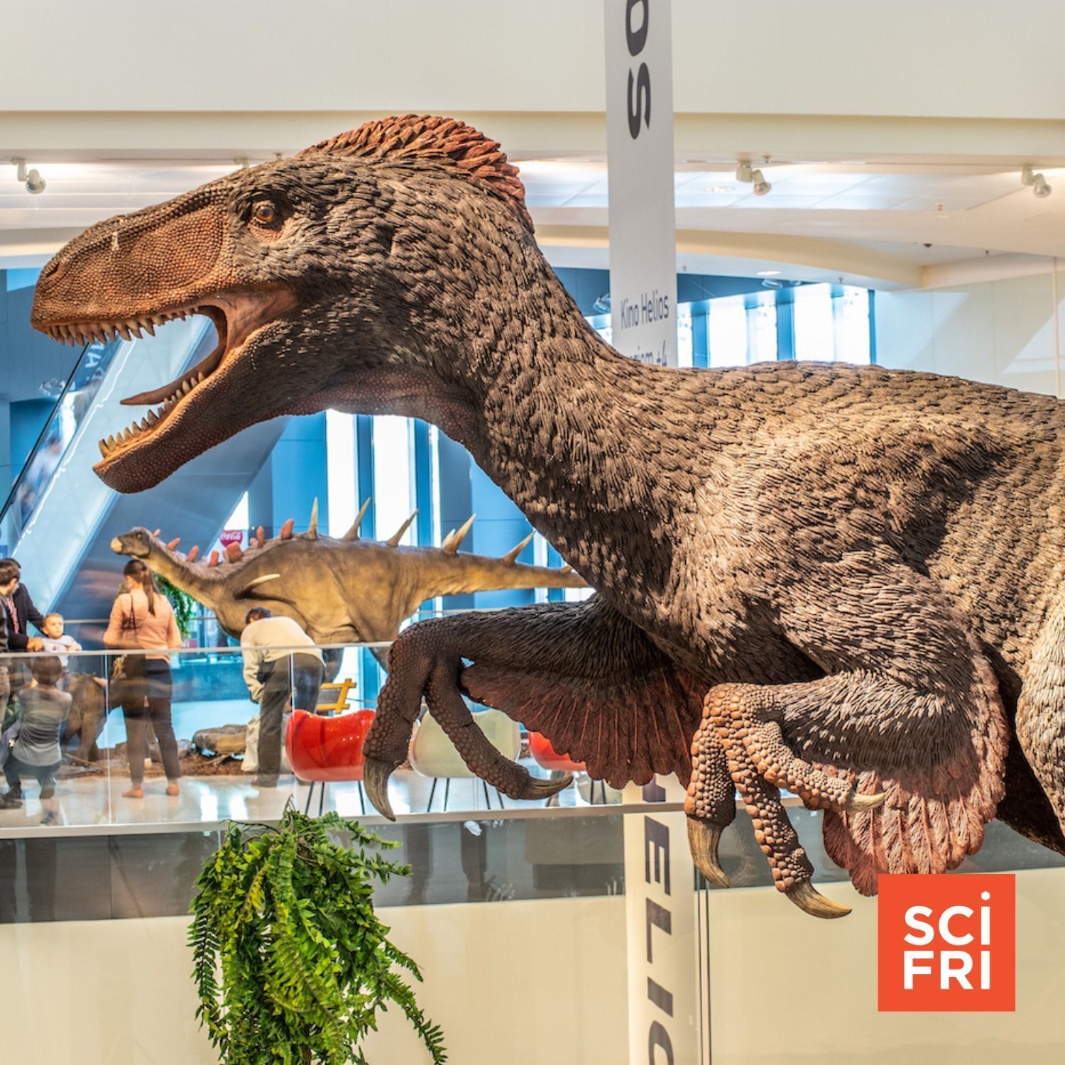 711: Which Feathered Dinosaurs Could Fly? | Some French Cheeses At Risk Of Extinction
