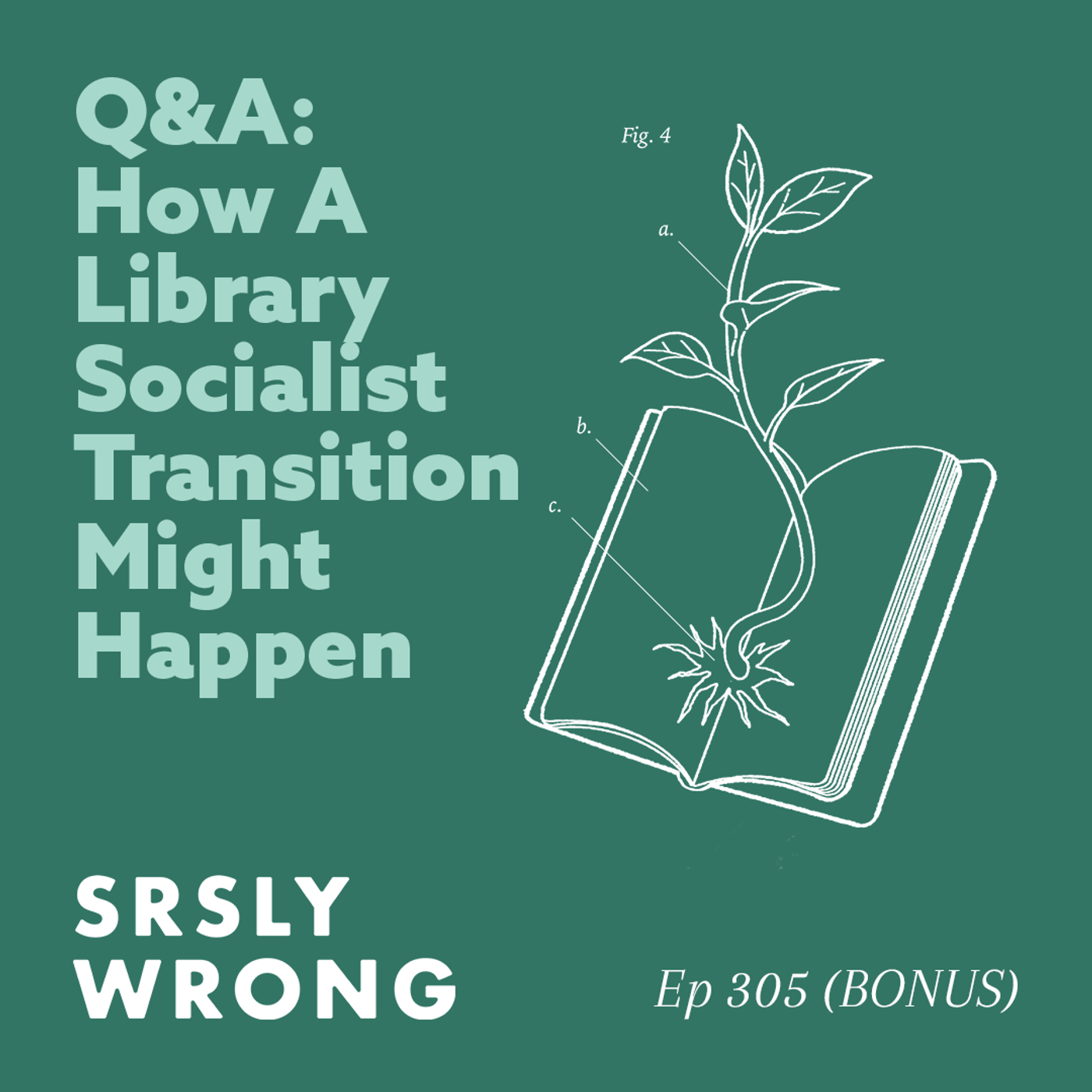 S10 Ep305: (TEASER) Q&A: How A Library Socialist Transition Might Happen