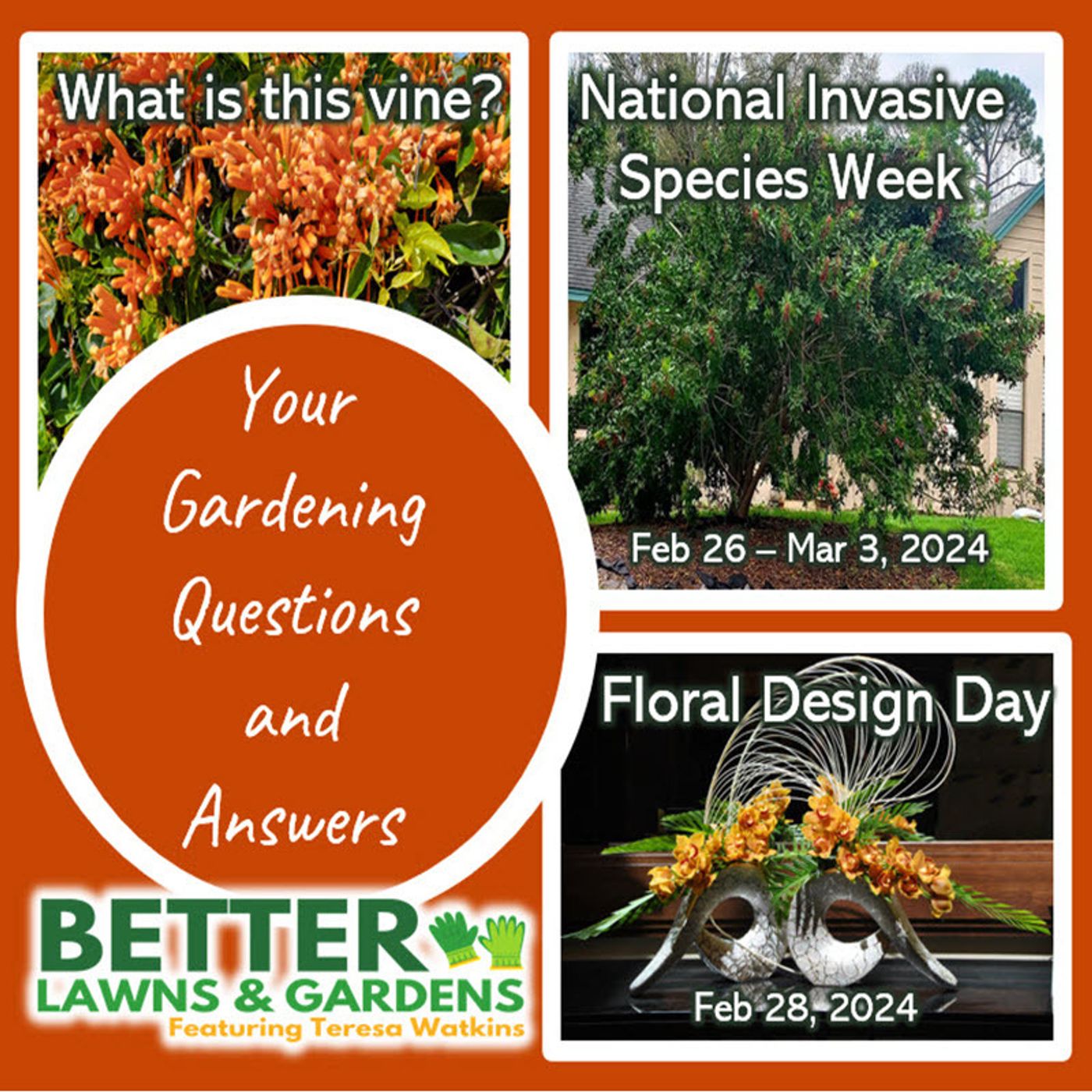 Better Lawns and Gardens - Hour 1 National Floral Day, Invasive Species Week, and Your Garden Questions. Feb 24, 2024