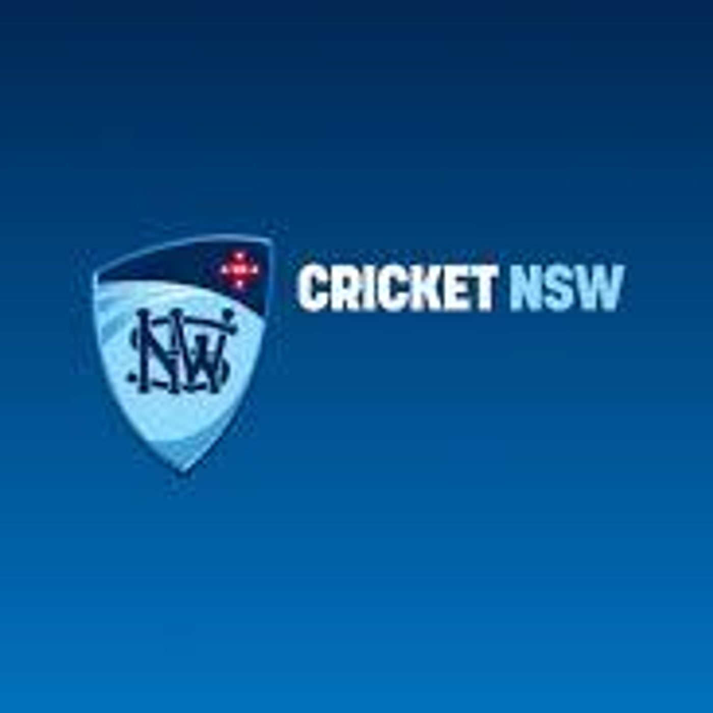 Jack Edwards speaks following drawn Sheffield Shield clash