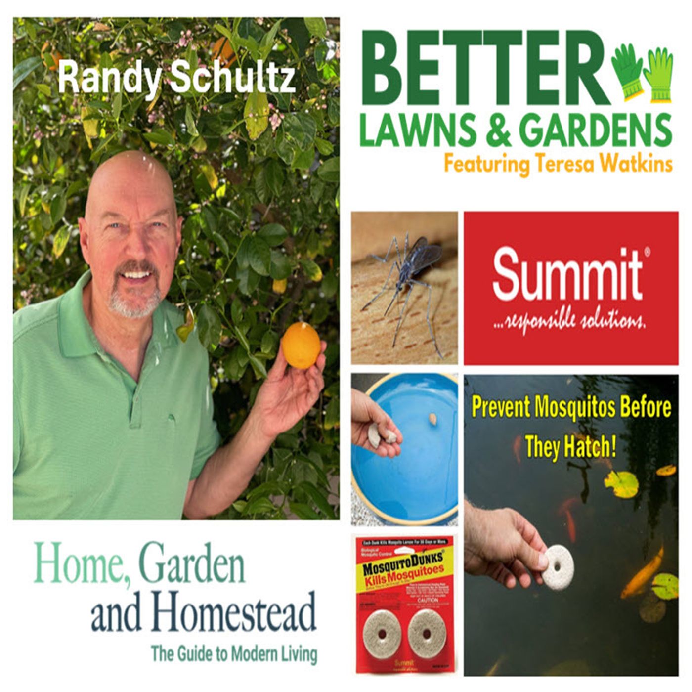 S2 Ep278:  Better Lawns and Gardens Randy Schultz Spring Mosquitos March 9, 2024
