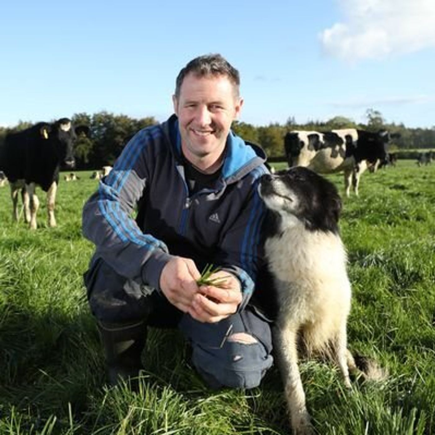 41: Bruce Thompson, dairy farmer & dung beetle expert