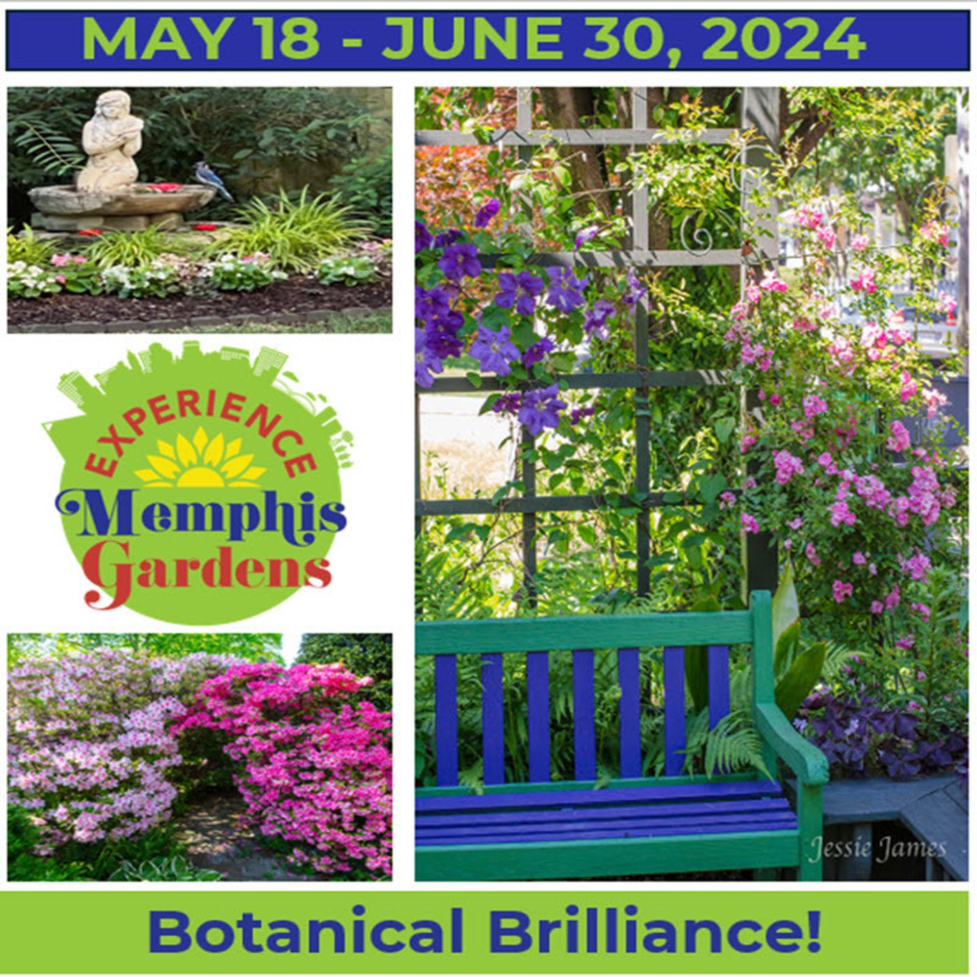 Better Lawns and Gardens - Hour 2 Kim Halyak Experience Memphis Gardens March 16, 2024