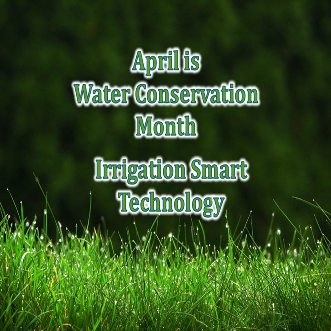 S2 Ep281: Better Lawns and Gardens - Hour 1 April is Water Conservation March 30, 2024