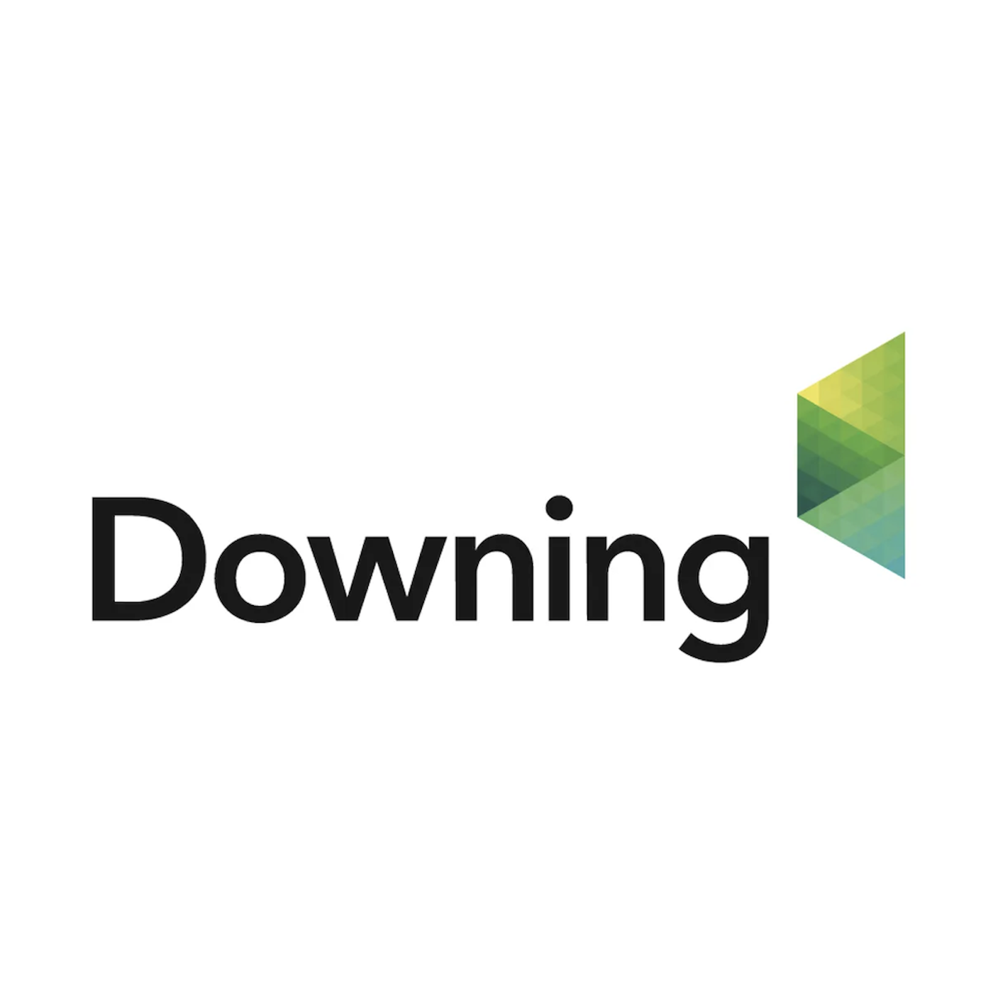 Vox Markets Fund Manager Series: Rosemary Banyard of Downing