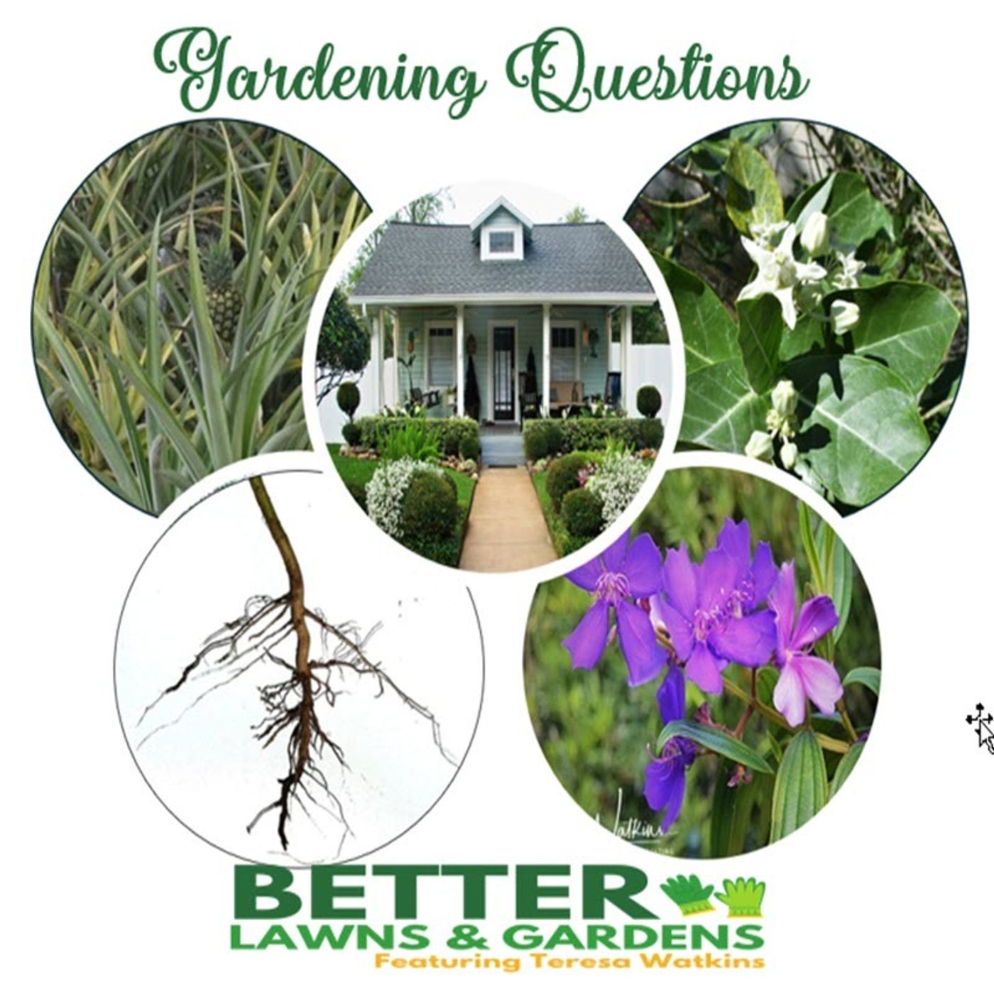 S2 Ep283: Better Lawns and Gardens - Hour 1 Your Garden Questions April 13, 2024