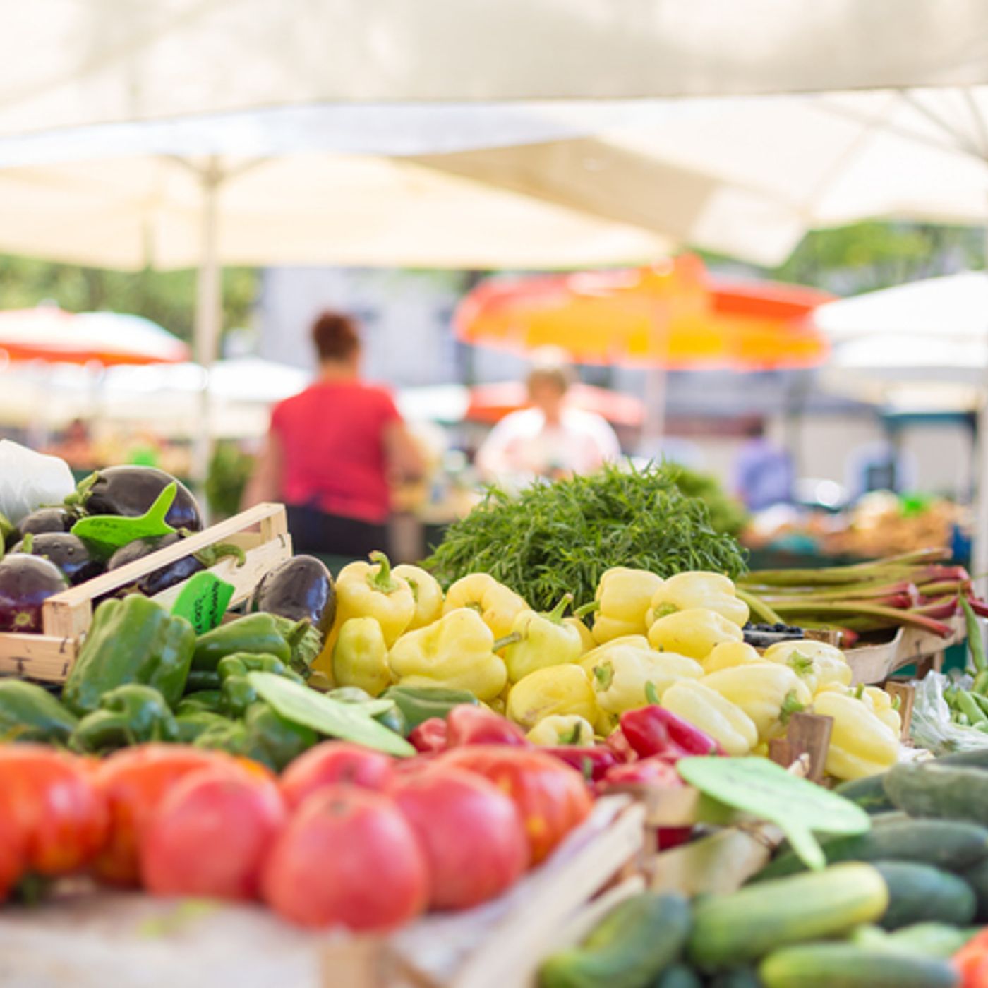 THE FEED: Finding The Best Farmer's Markets In CT episode artwork