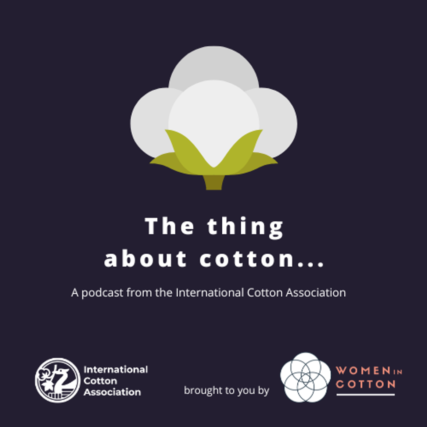 The Thing About Cotton