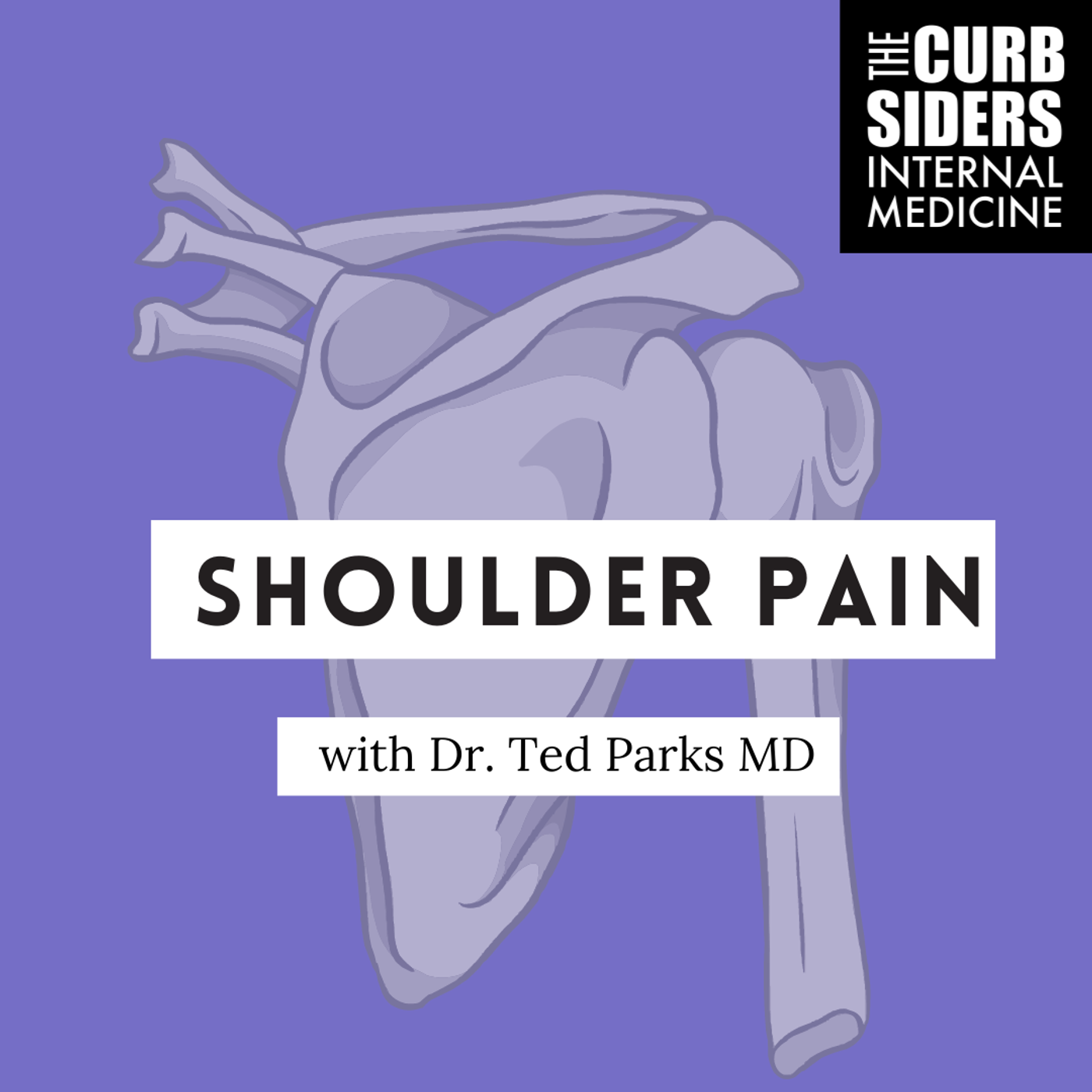 #439 Shoulder Pain: Impingement, Bursitis, Tendonitis, Cuff Tears, and Arthritis with Dr. Ted Parks