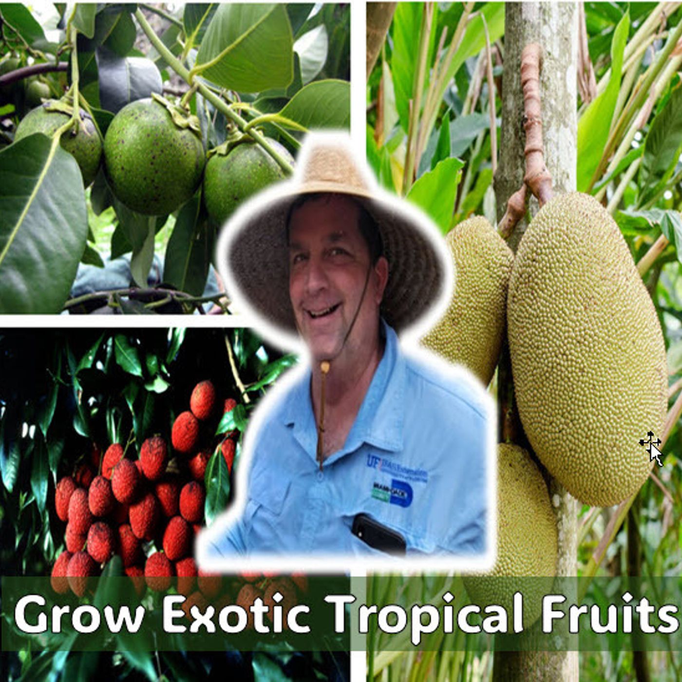 Better Lawns and Gardens - Hour 2 Exotic Tropical Fruit Trees May 11, 2024