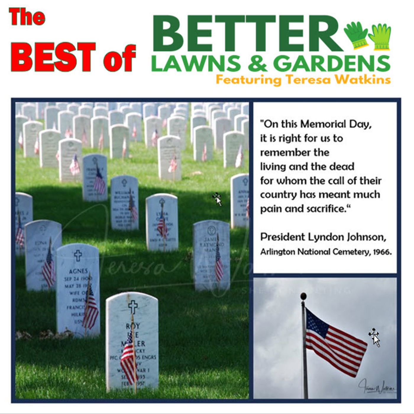 S2 Ep290: Better Lawns and Gardens - Hour 1 Best of Memorial Day May 25, 2024