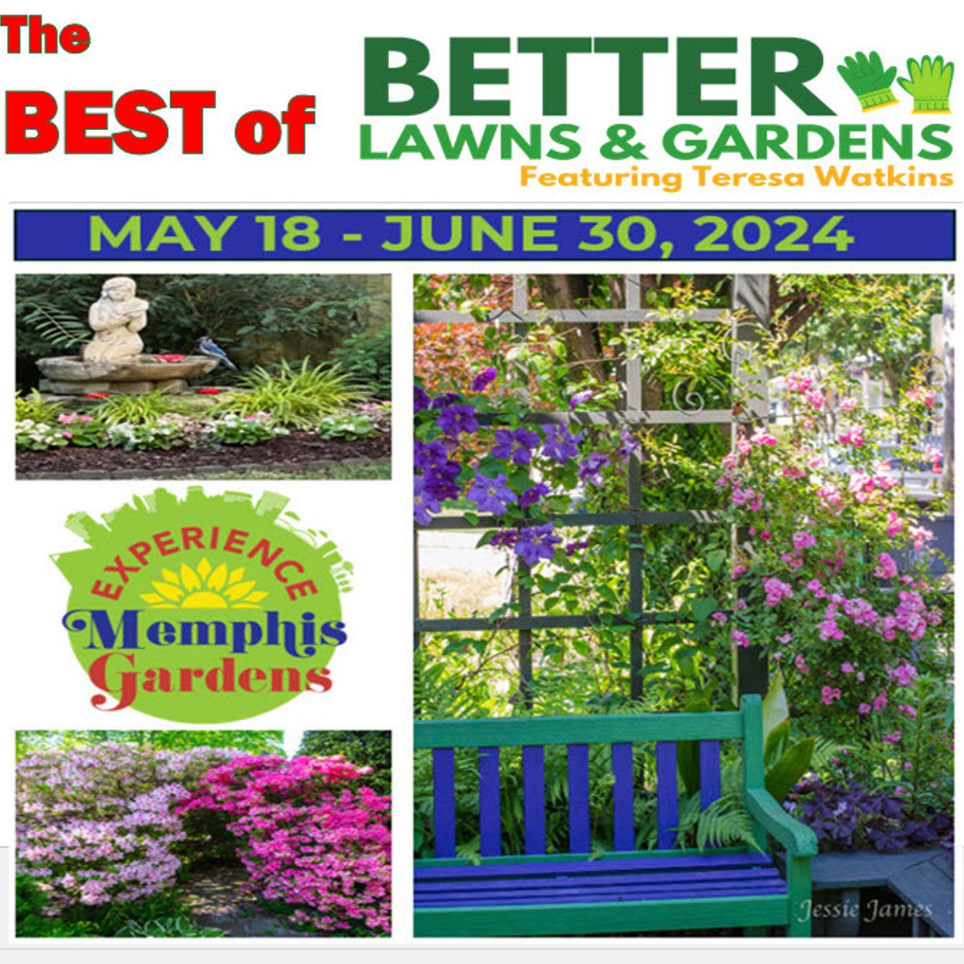 Better Lawns and Gardens - Hour 2 Best of Experience Memphis Gardens 2024   May 25, 2024