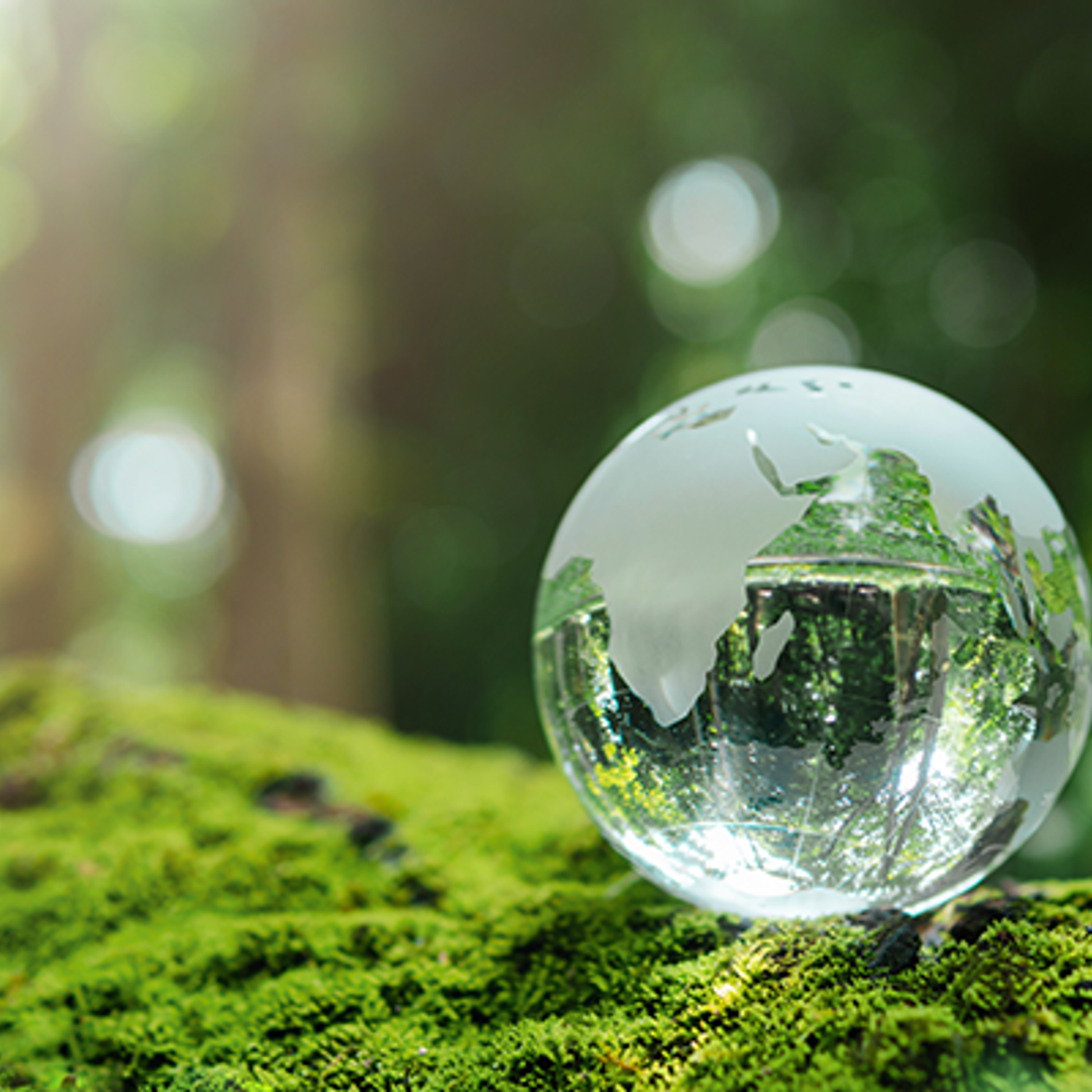 Sustainable Law in Action: ESG Conference February 2024