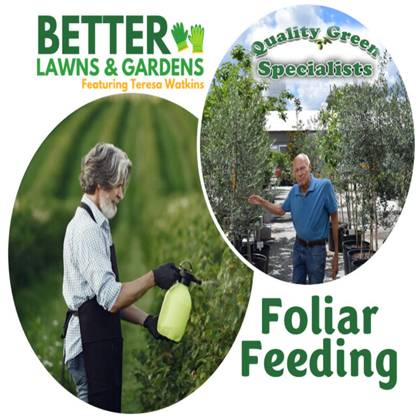 S2 Ep291: Better Lawns and Gardens - Hour 1 Dana Venrick Foliar Feeding June 1, 2024