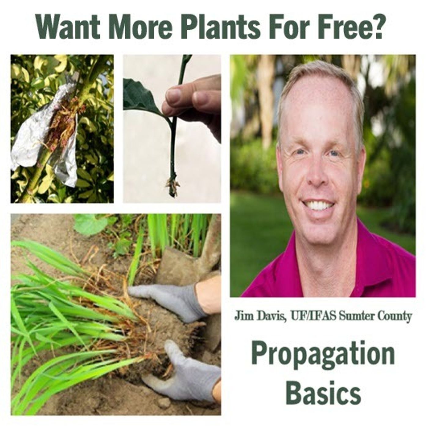 Better Lawns and Gardens - Hour 2 Jim Davis Propagating Plants June 1, 2024